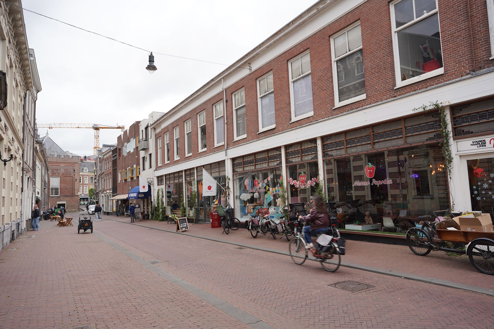 Netherland Rotterdam and Haarlem (81)