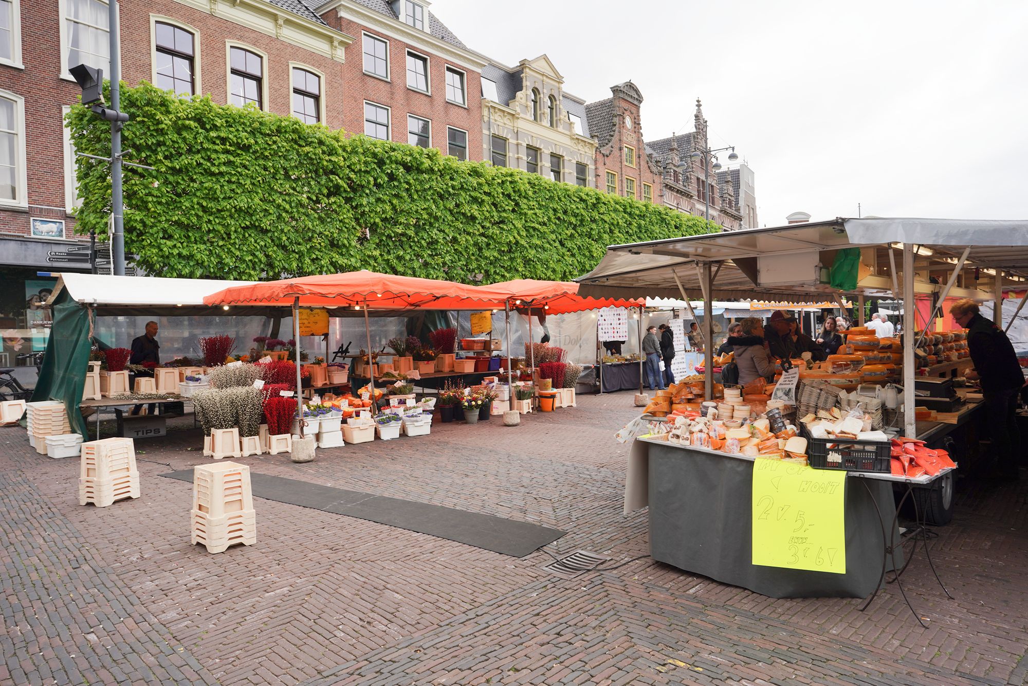 Netherland Rotterdam and Haarlem (84)