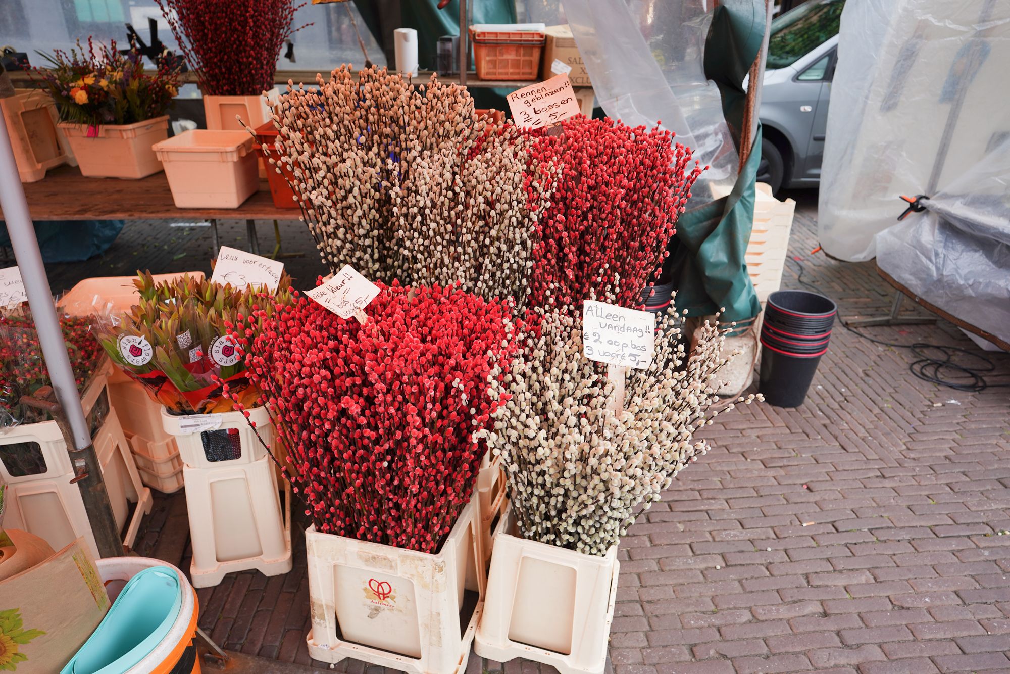 Netherland Rotterdam and Haarlem (86)