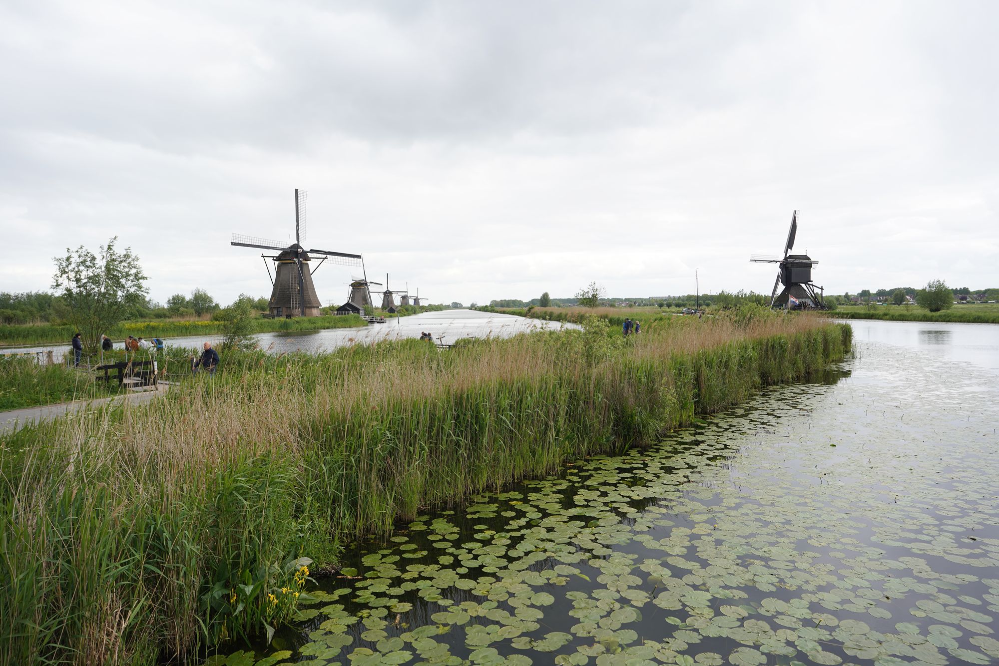 Werelderfgoed Kinderdijk, Kinderdijk, Netherland