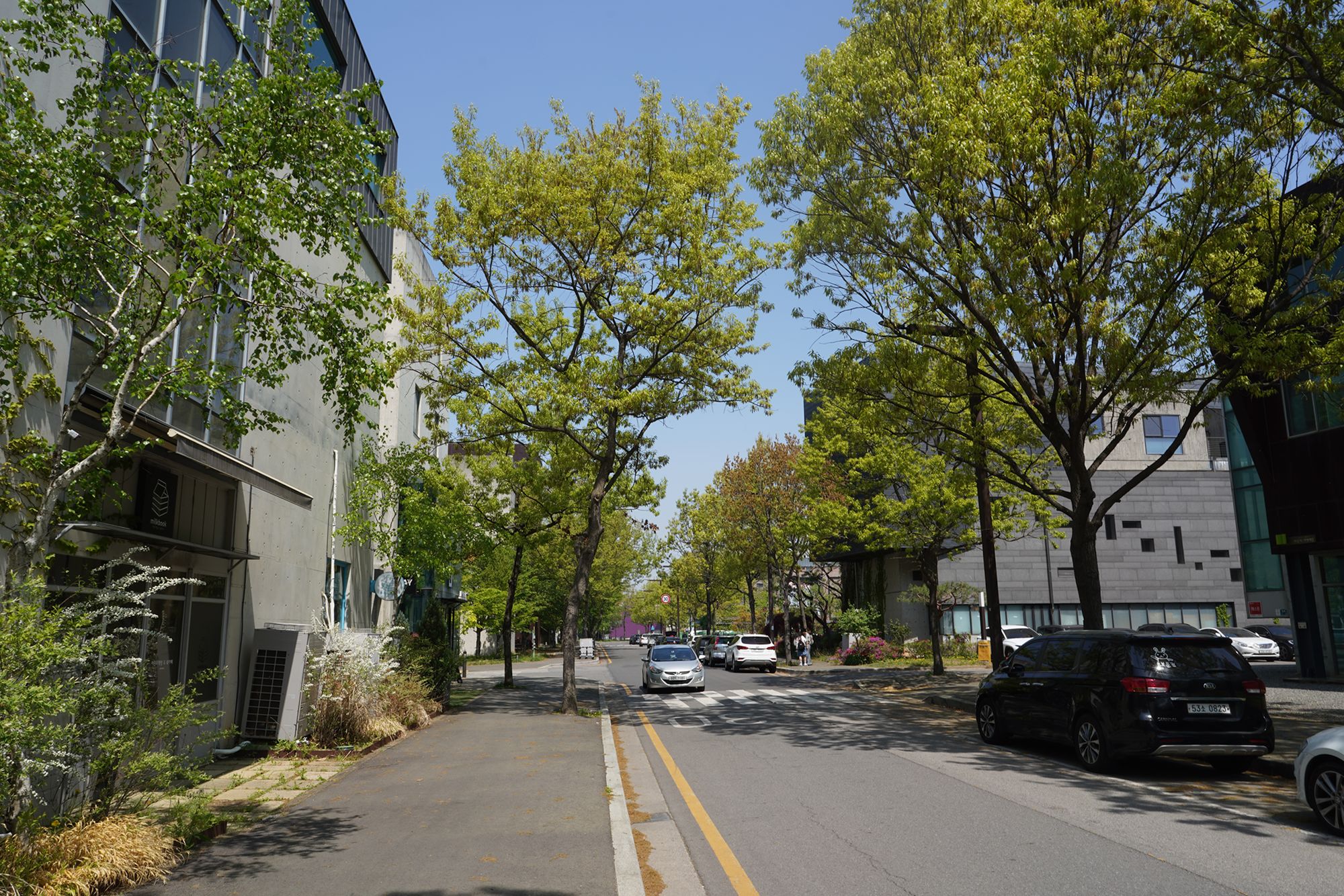 Paju Day Trip (5) Paju Day Trip (5)