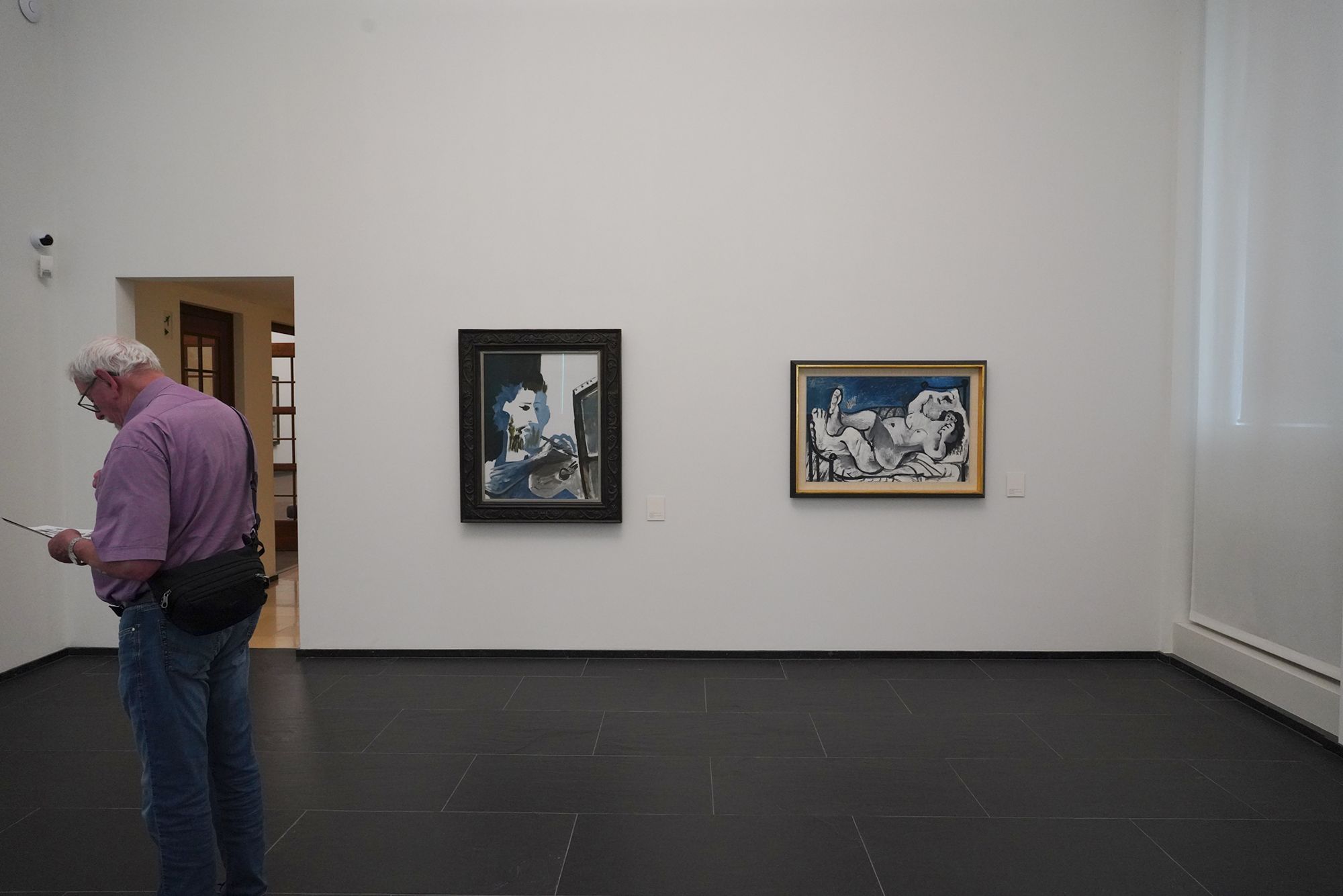 Sammulung Rosengart Museum (33)