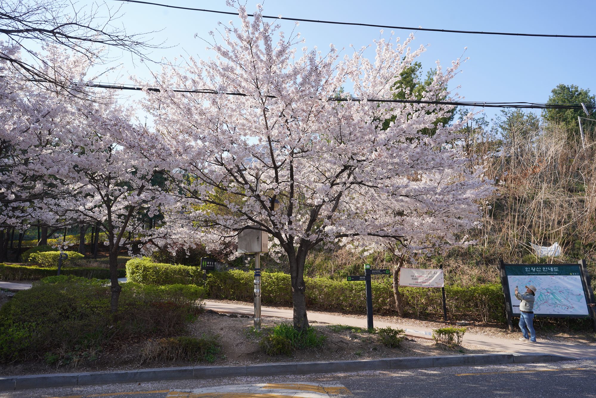 Seoul Buam-dong Walk (41)
