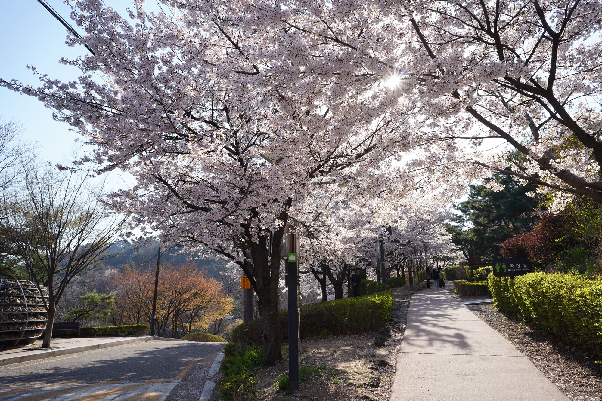 Seoul Buam-dong Walk (43)