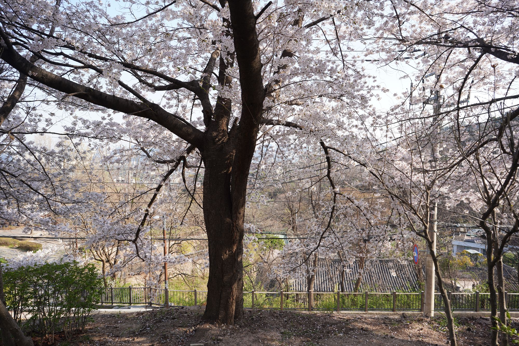 Seoul Buam-dong Walk (45)