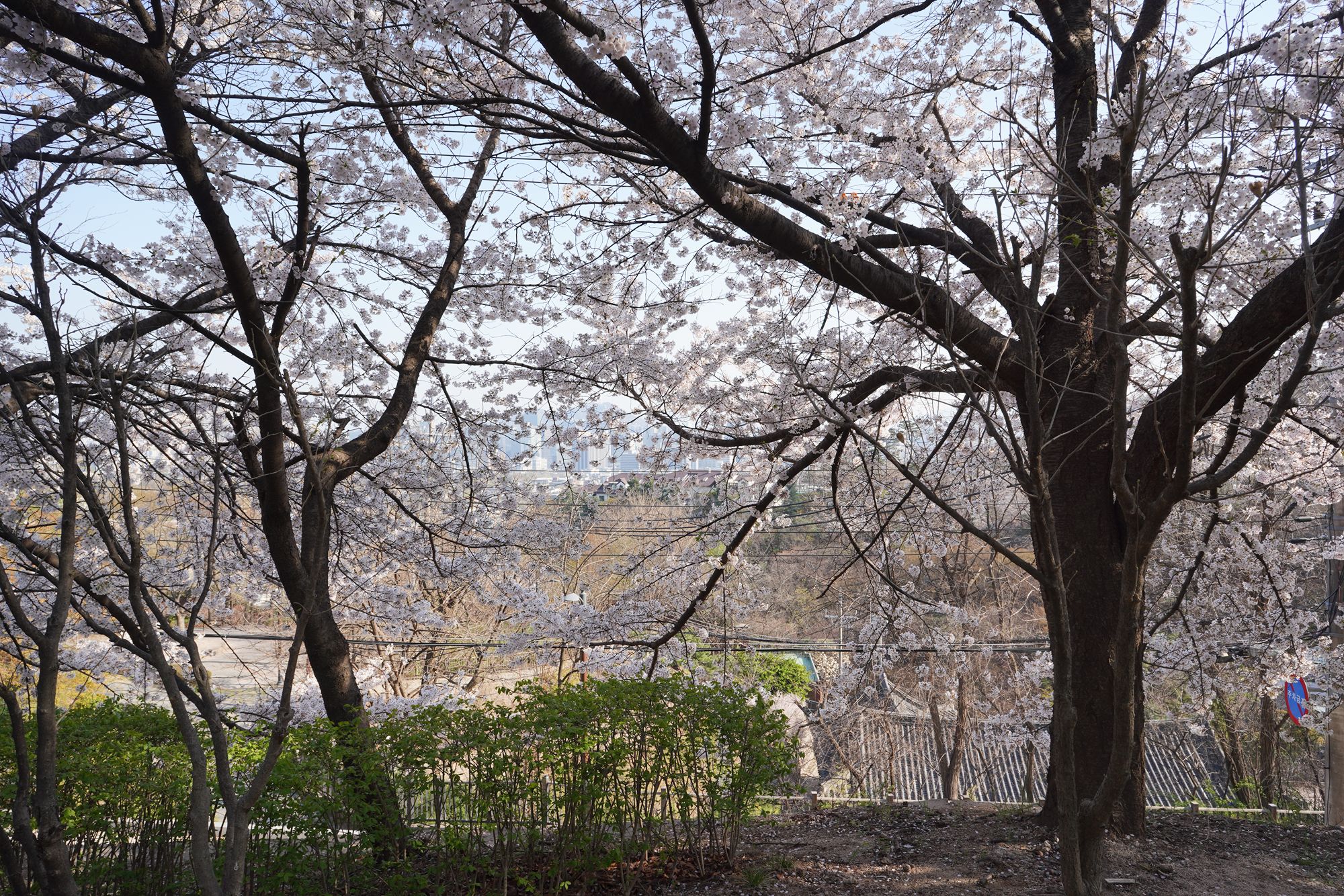 Seoul Buam-dong Walk (46)