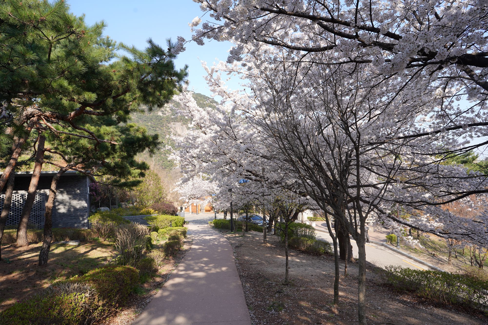 Seoul Buam-dong Walk (47)