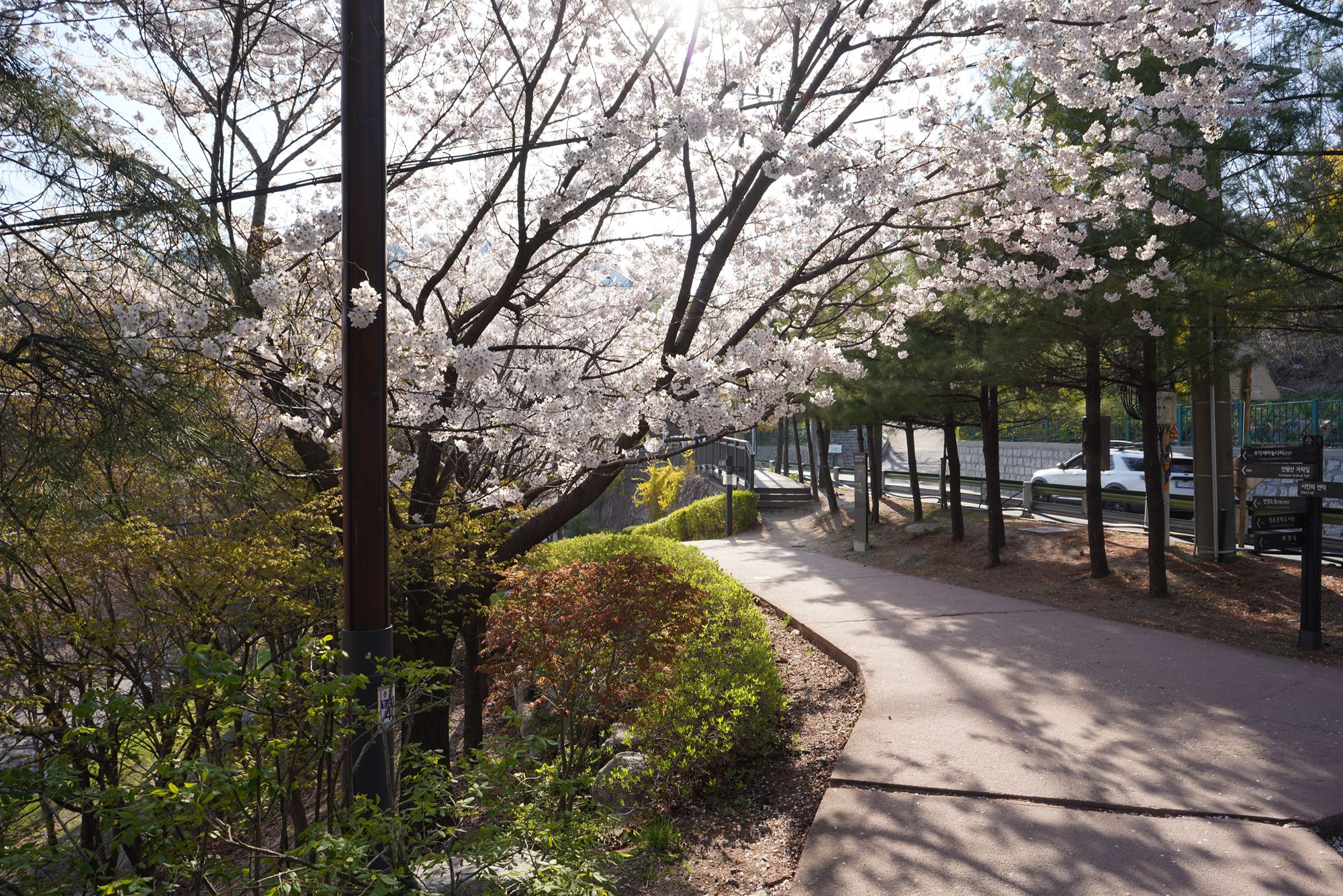 Seoul Buam-dong Walk (48)