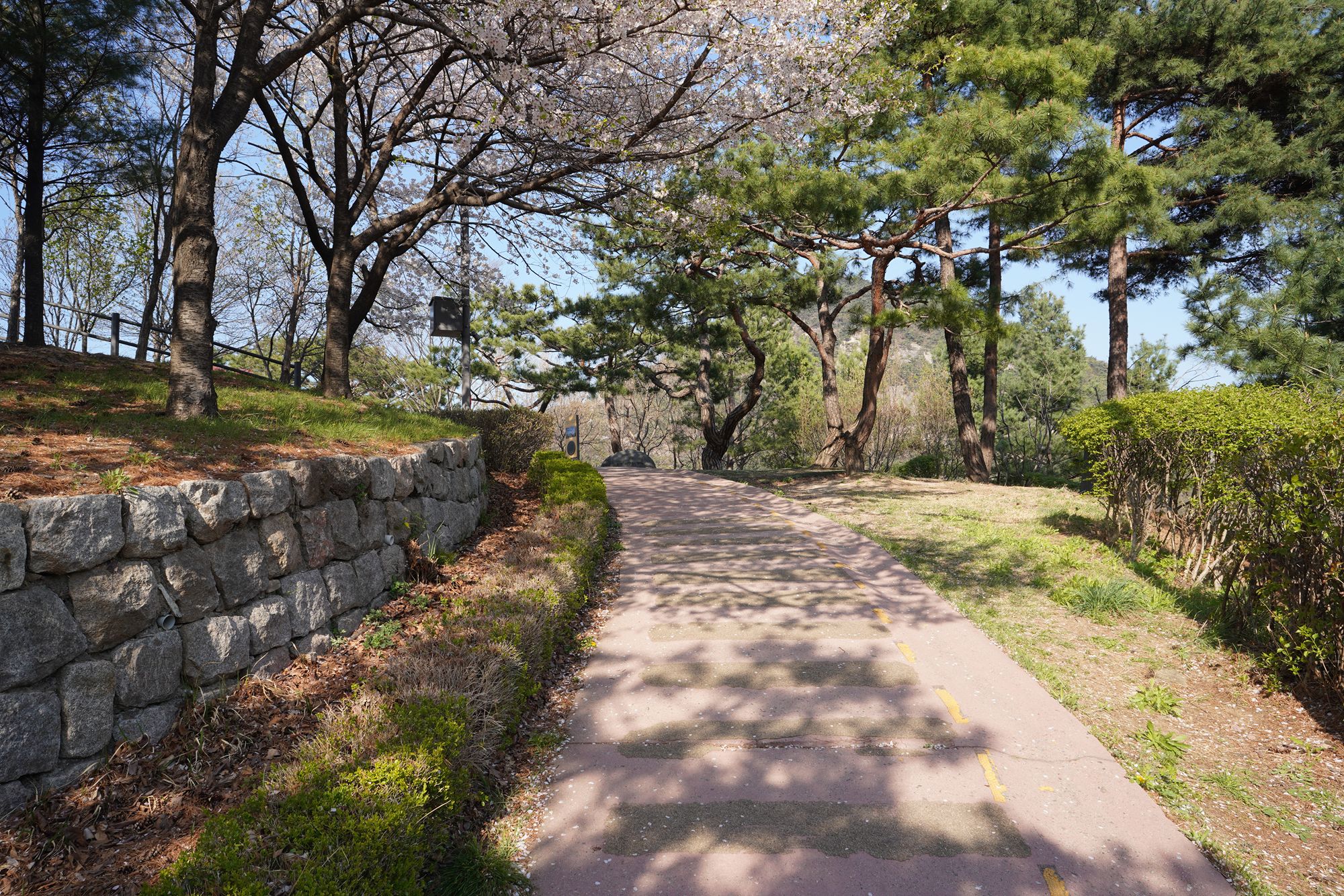 Seoul Buam-dong Walk (50)