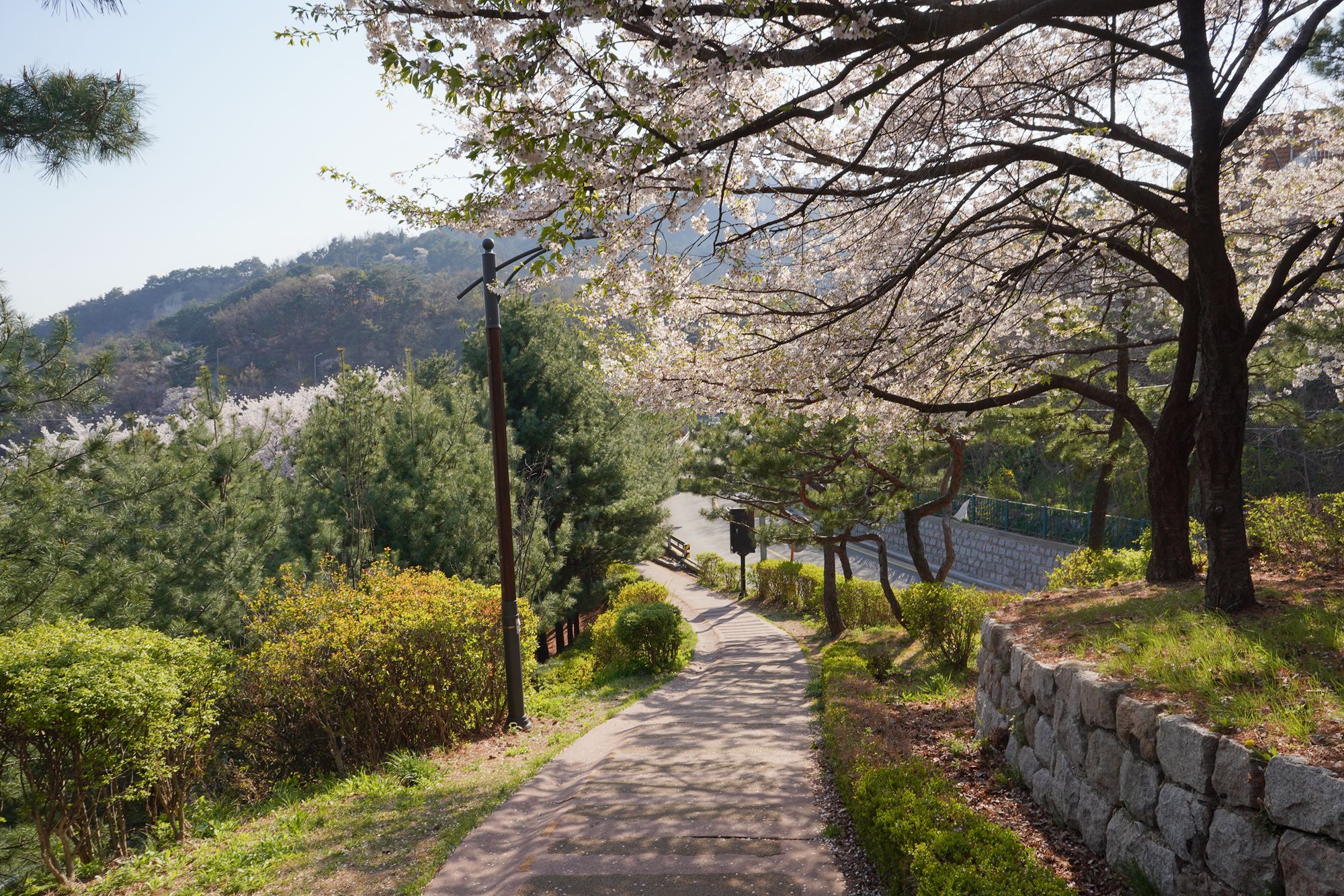 Seoul Buam-dong Walk (56)