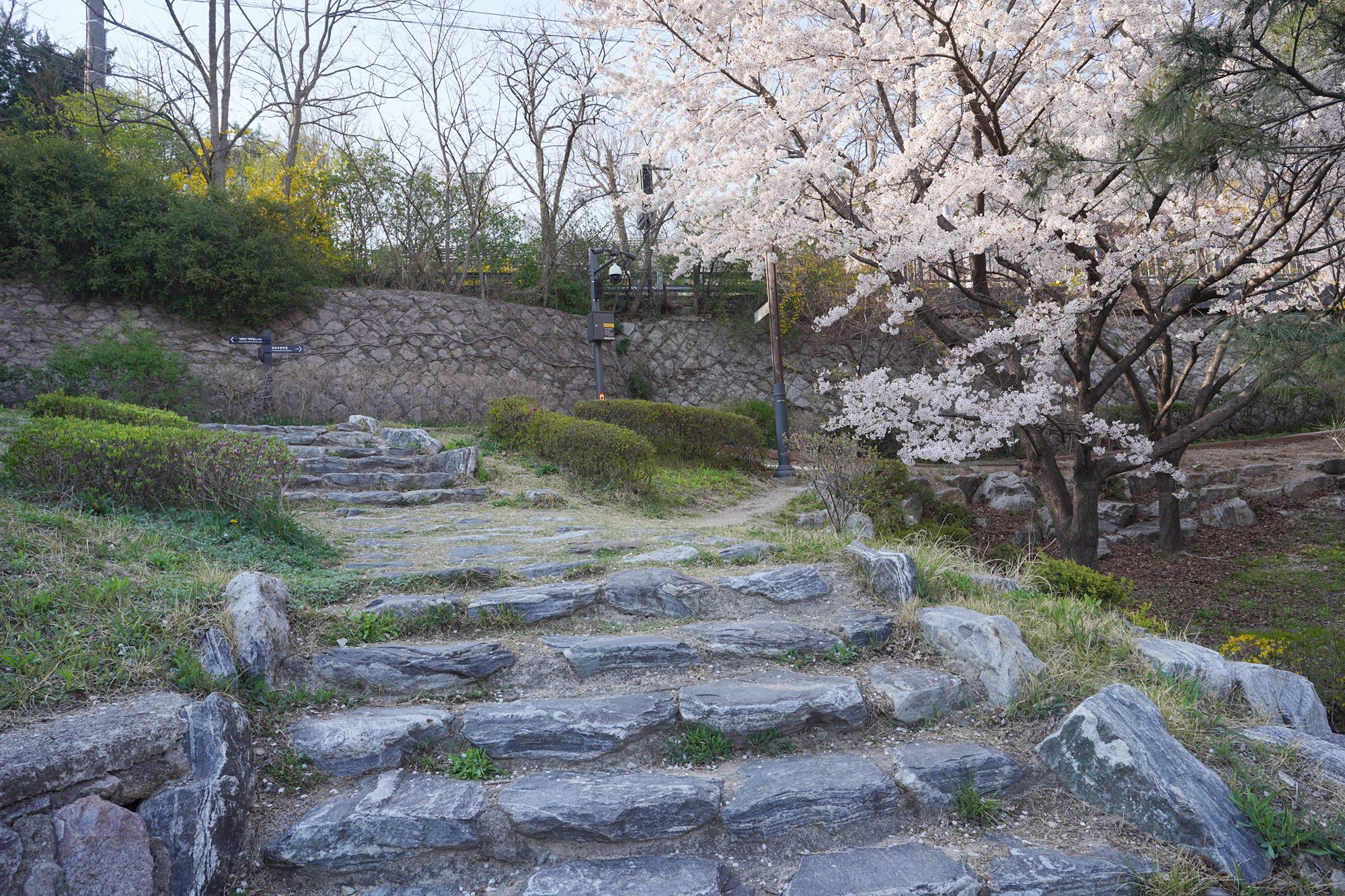 Seoul Buam-dong Walk (74)