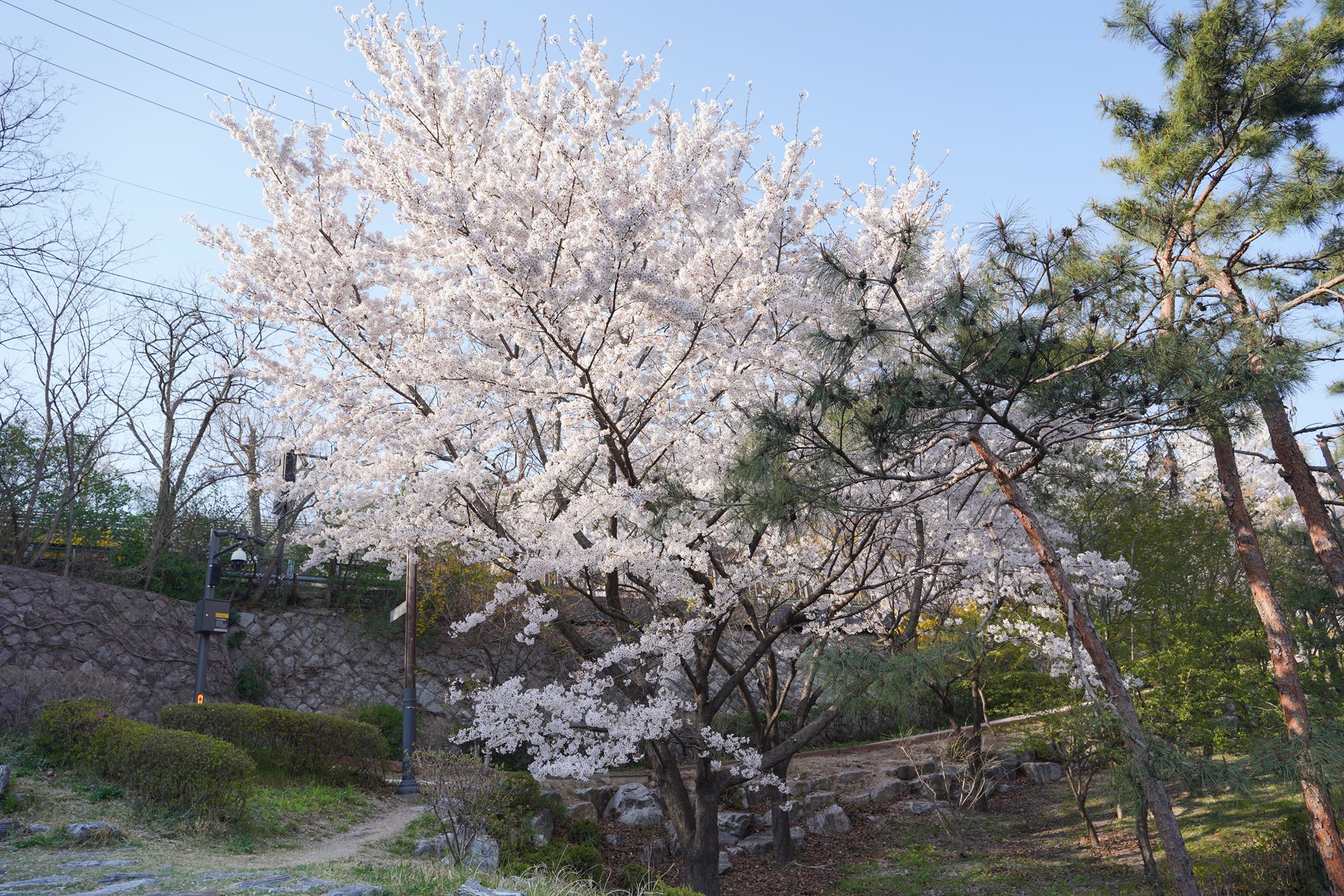 Seoul Buam-dong Walk (75)