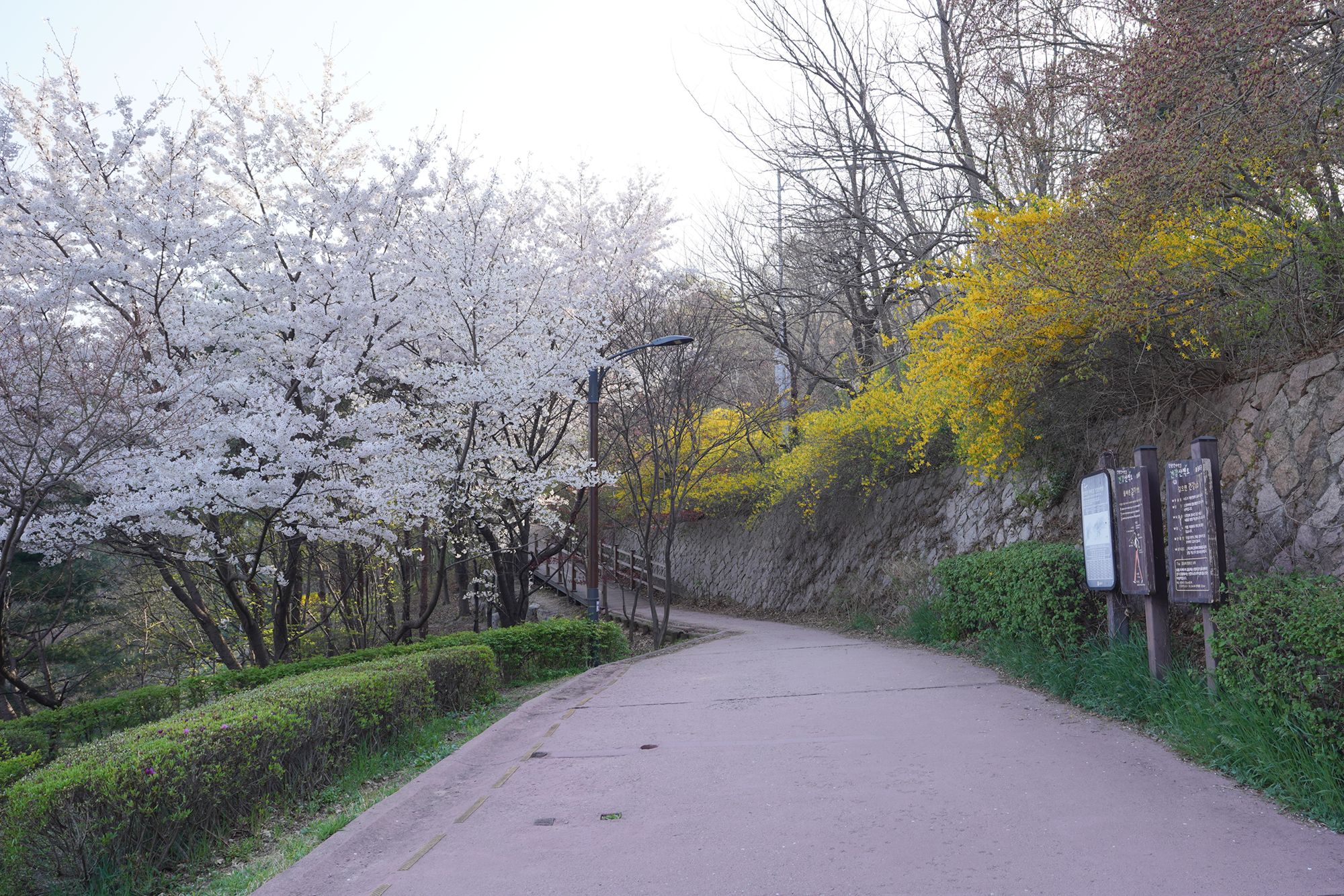 Seoul Buam-dong Walk (76)