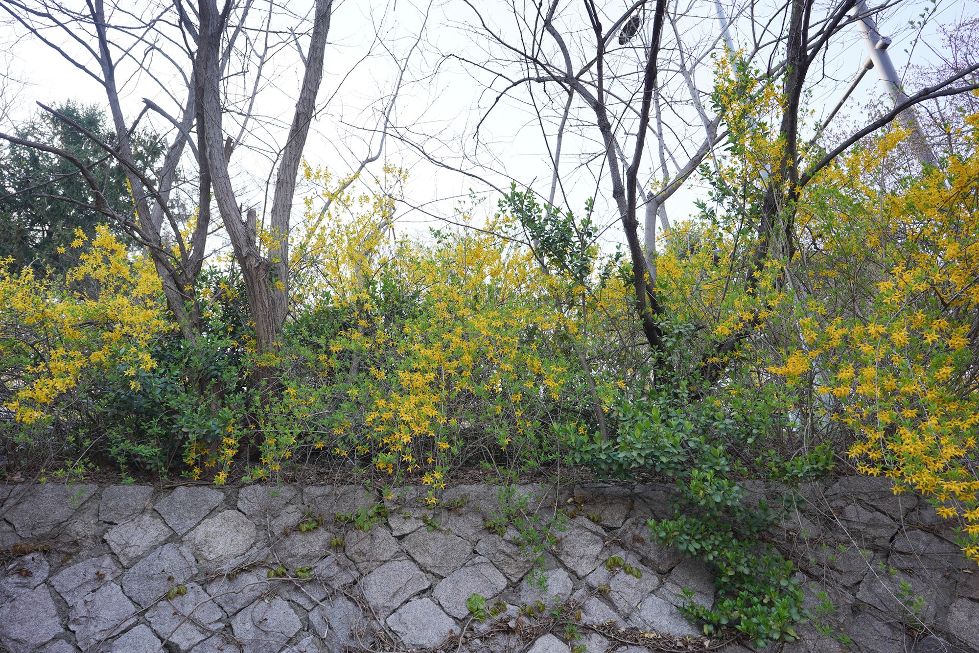 Seoul Buam-dong Walk (77)