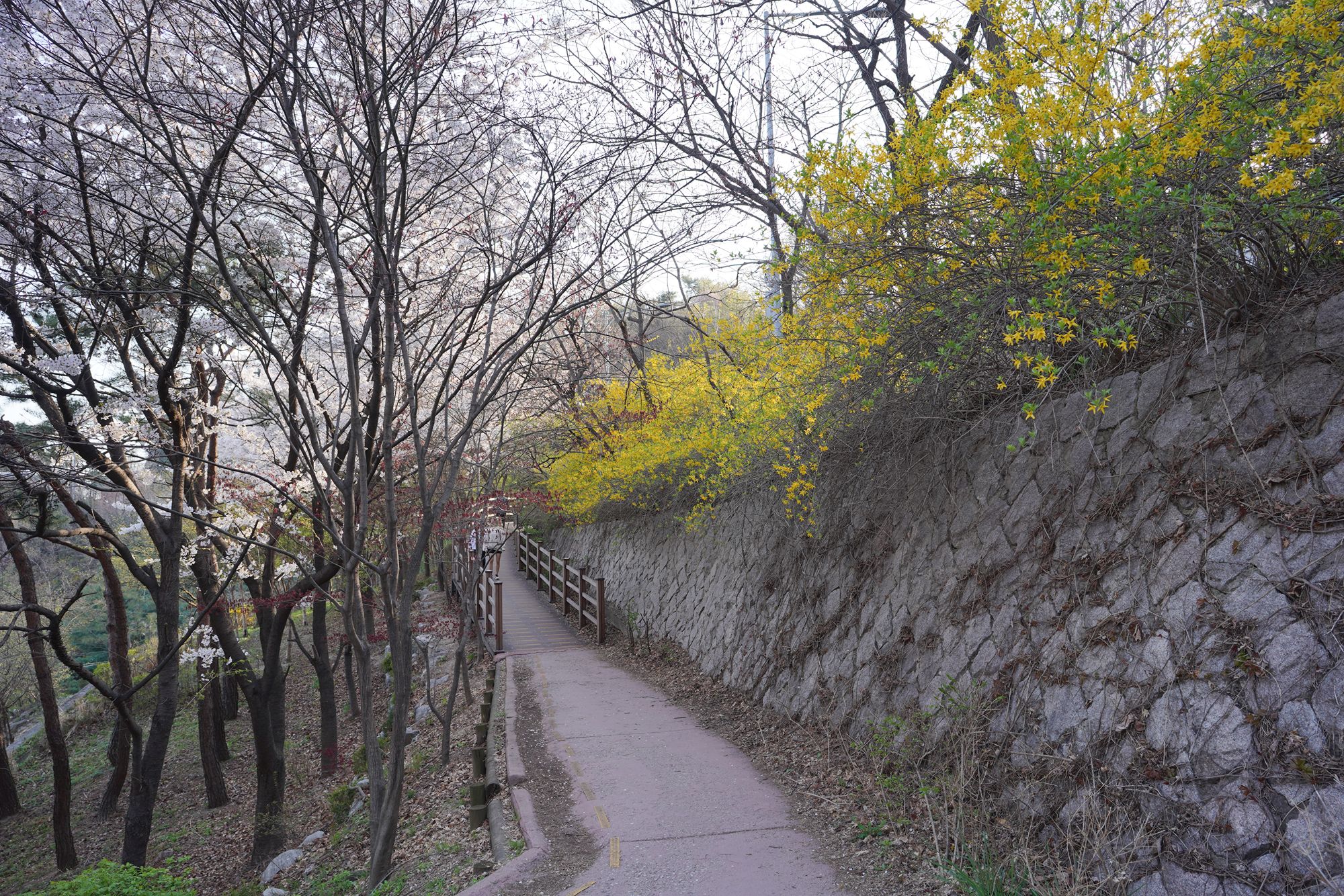 Seoul Buam-dong Walk (78)