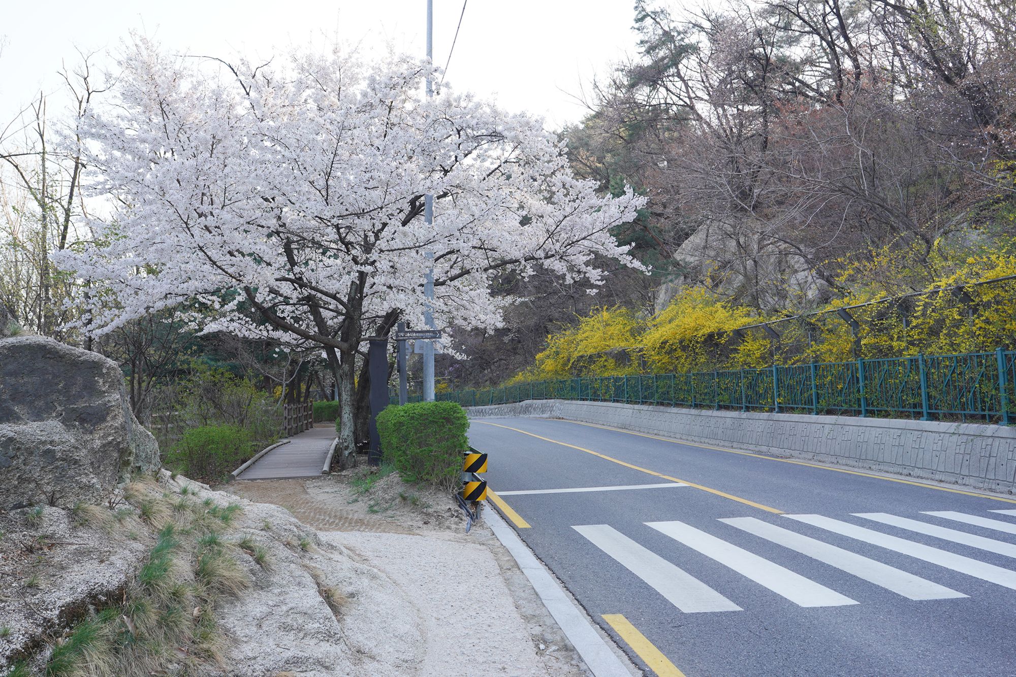 Seoul Buam-dong Walk (80)