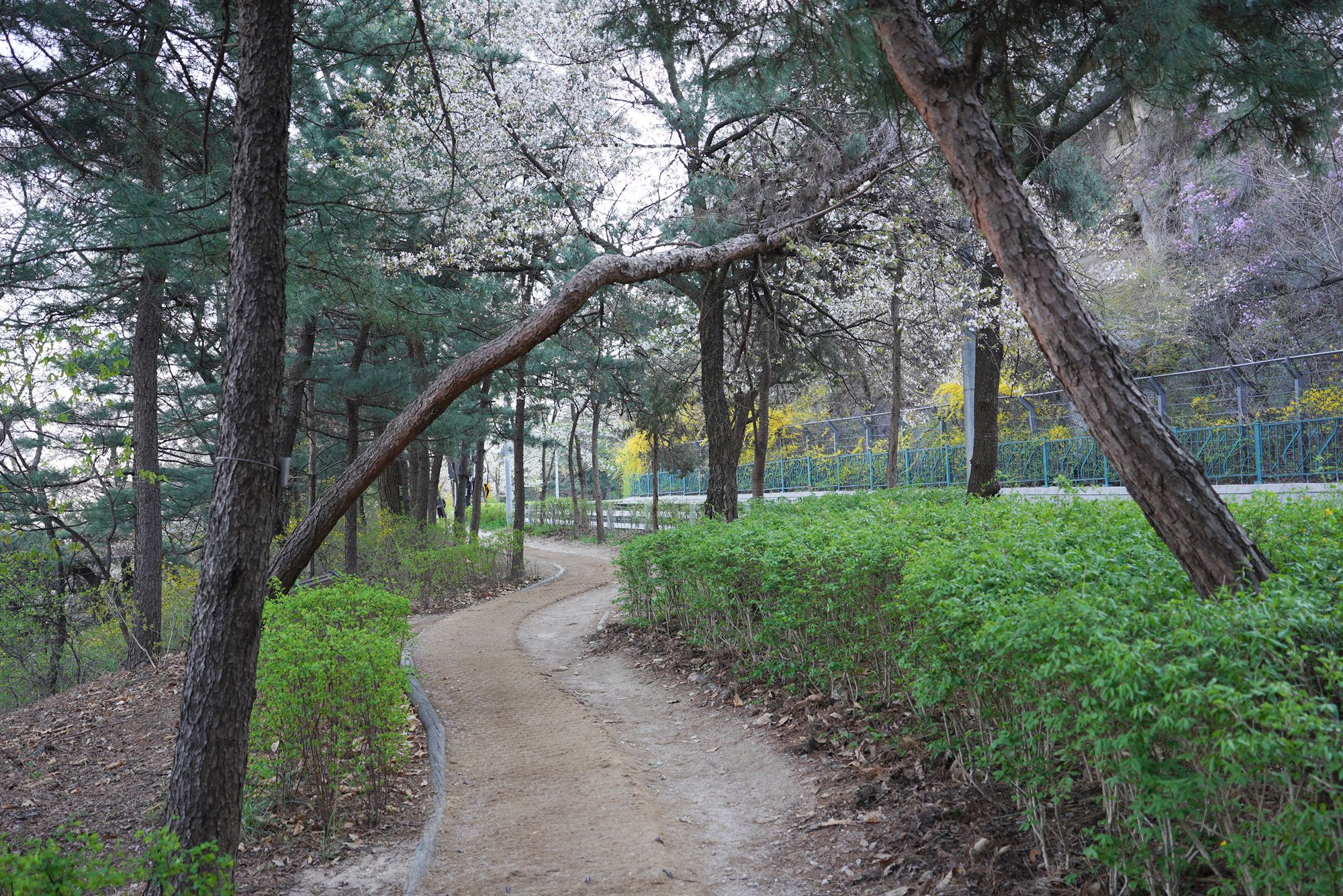Seoul Buam-dong Walk (81)