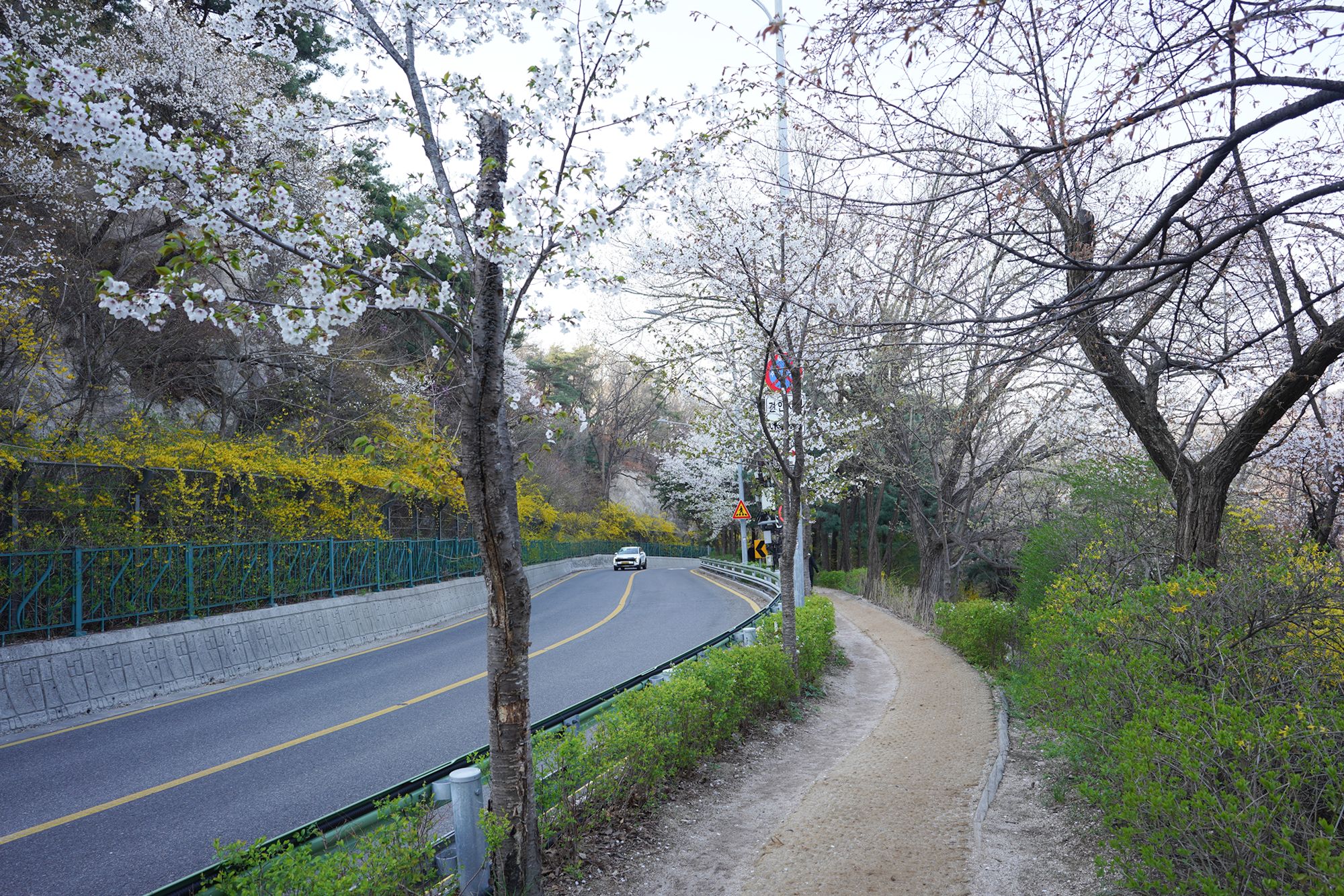 Seoul Buam-dong Walk (82)