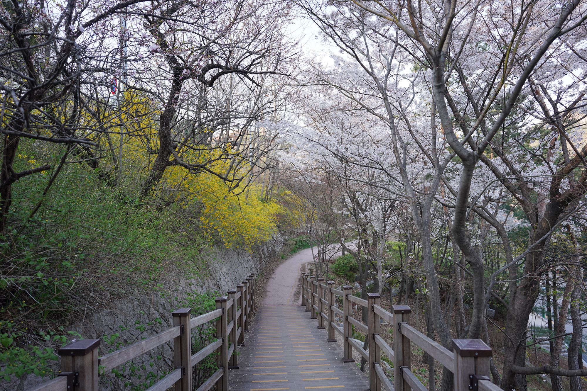 Seoul Buam-dong Walk (84)