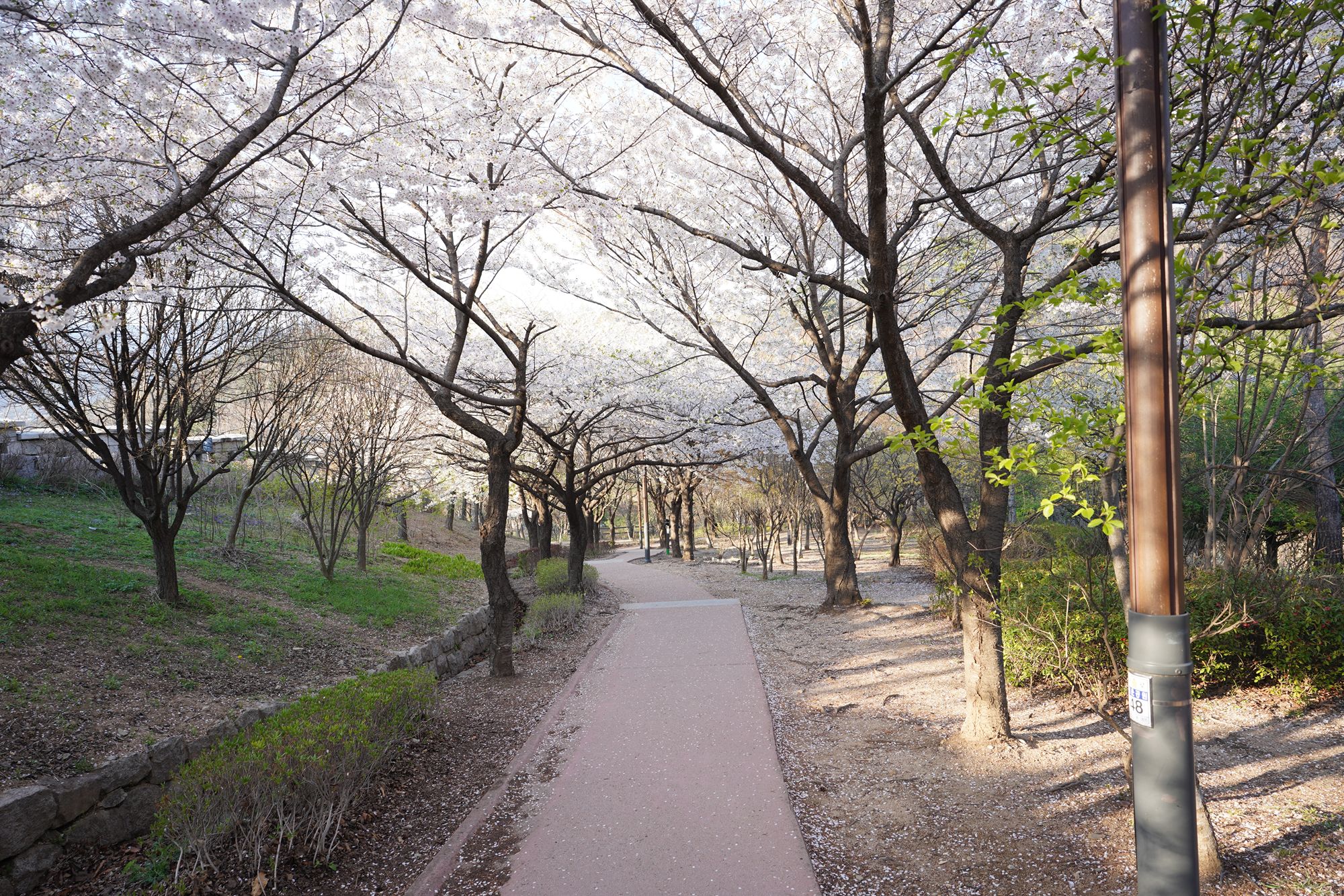 Seoul Buam-dong Walk (85)