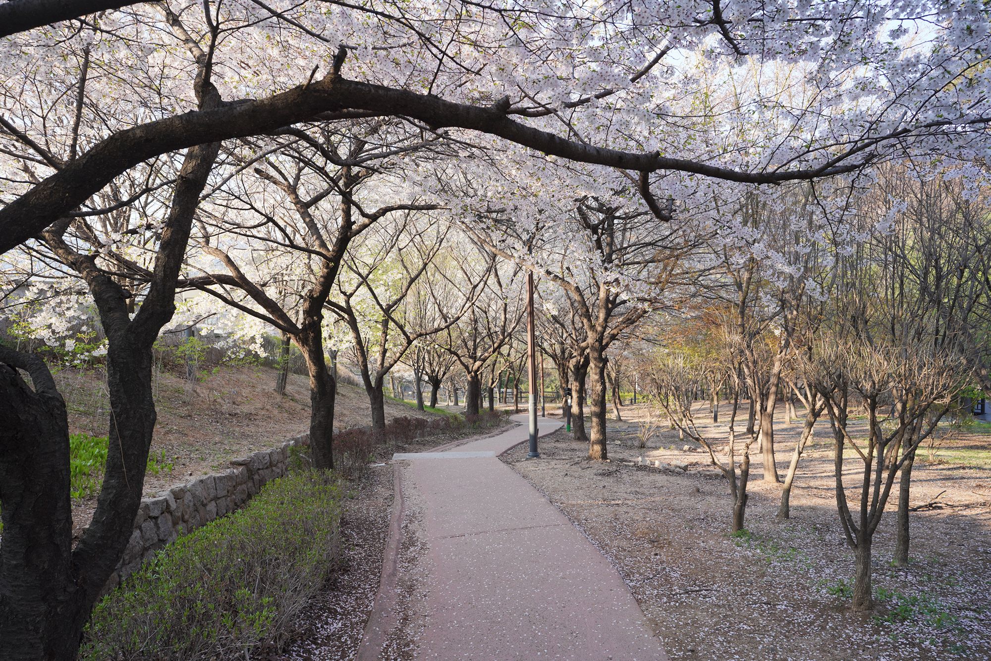 Seoul Buam-dong Walk (86)