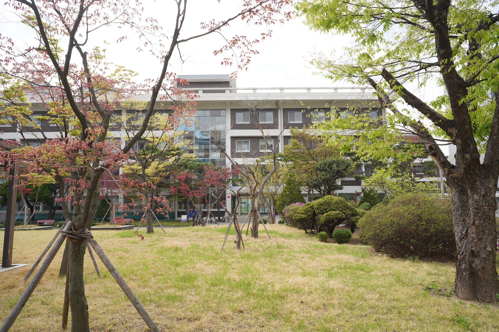 Seoul National University (10)