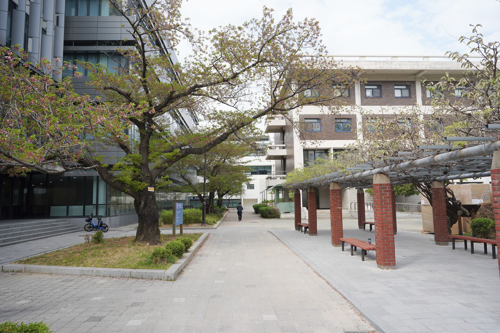 Seoul National University (11)