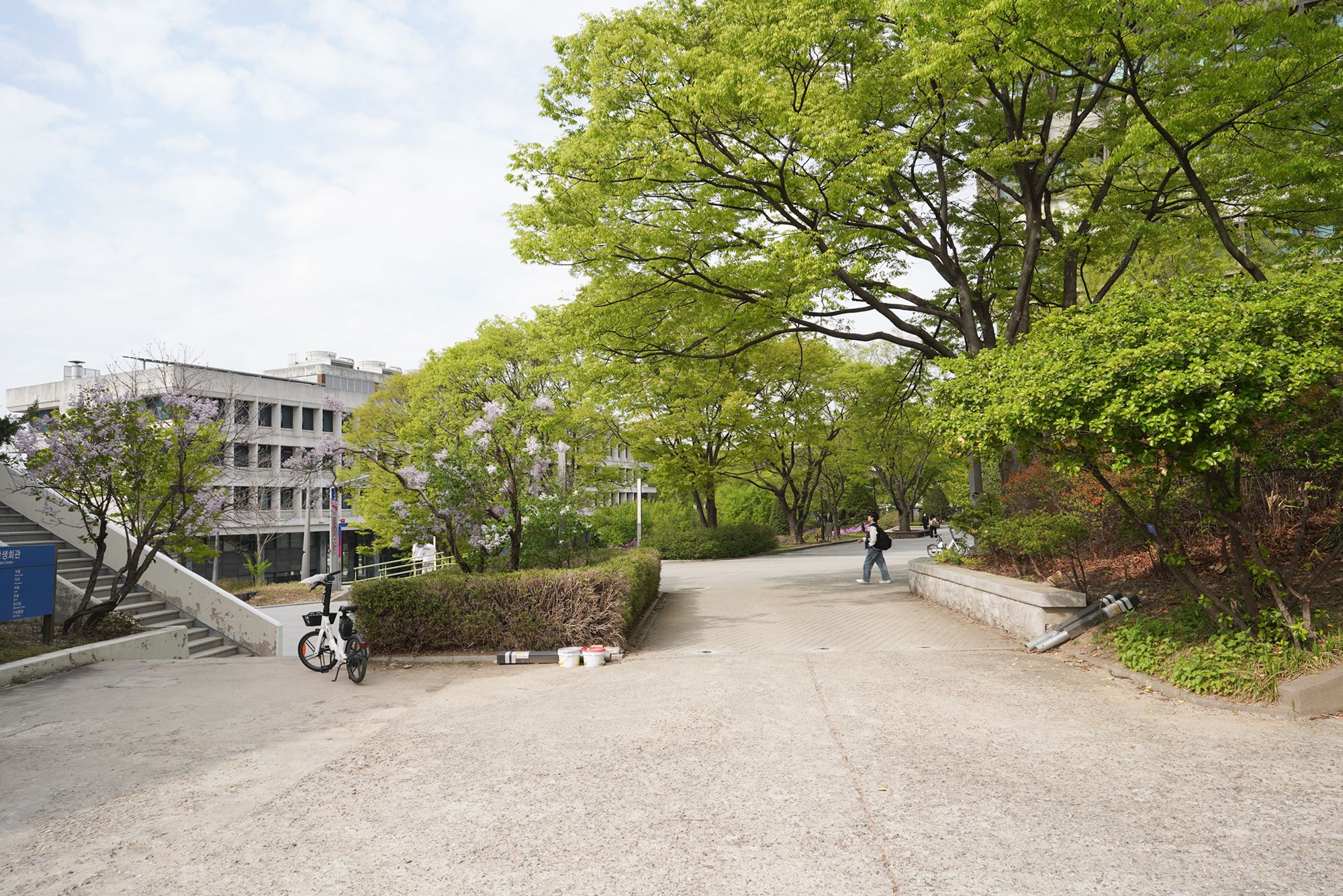 Seoul National University (14)