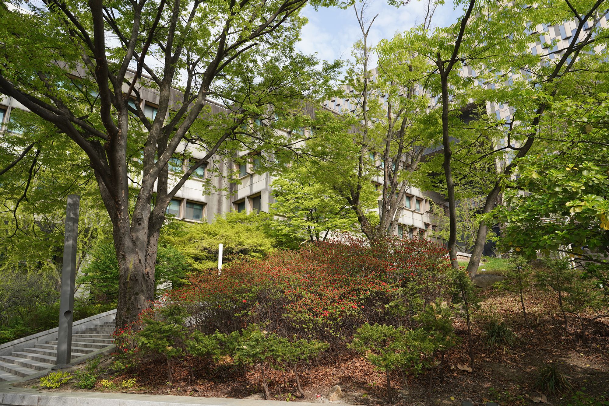 Seoul National University (15)