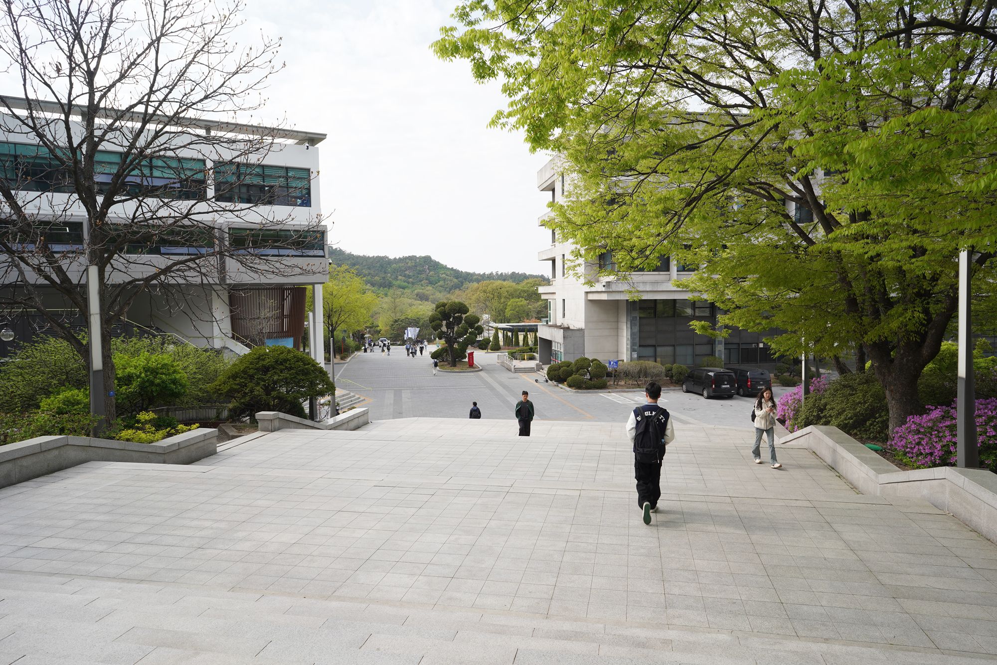 Seoul National University (17)