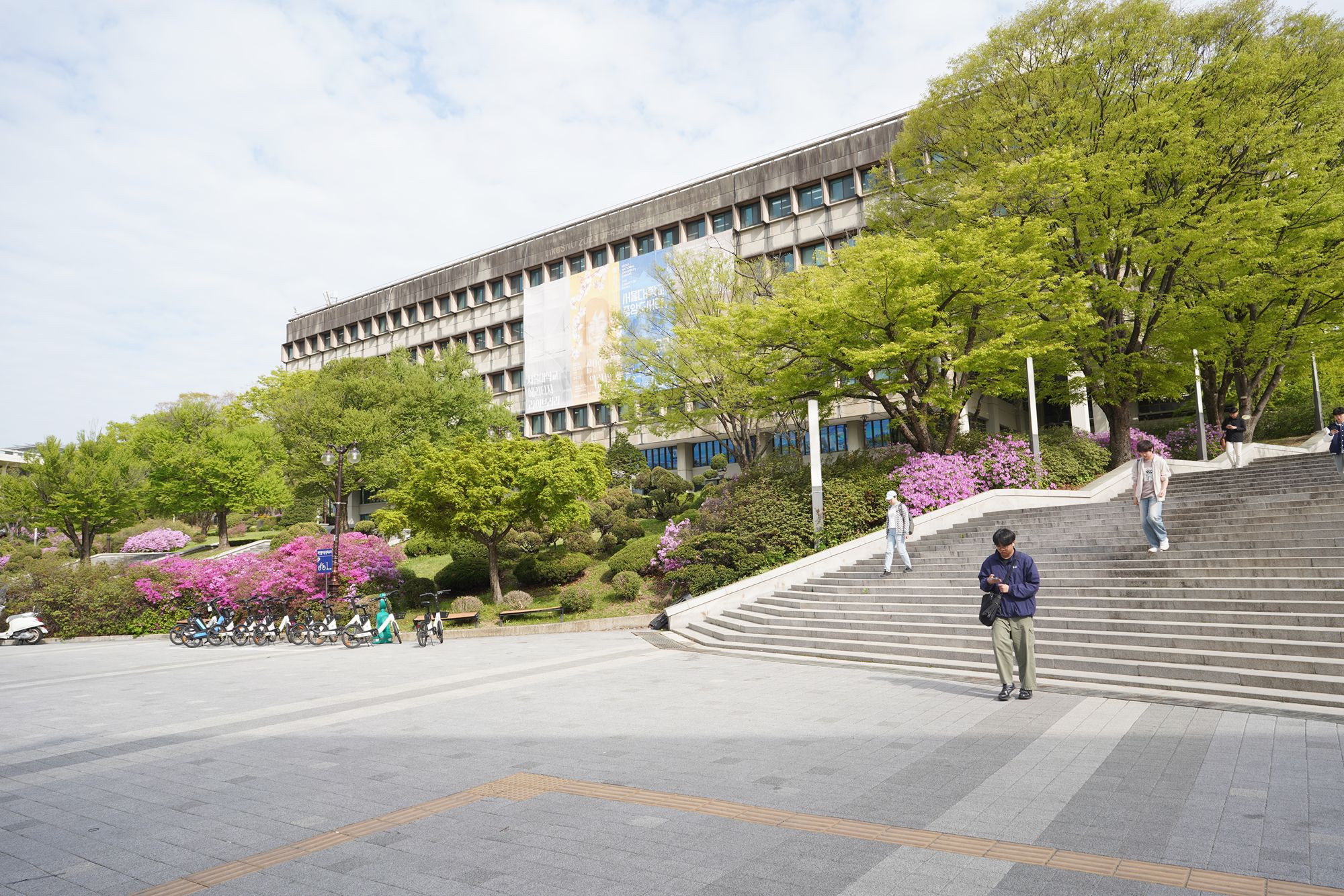Seoul National University (19)