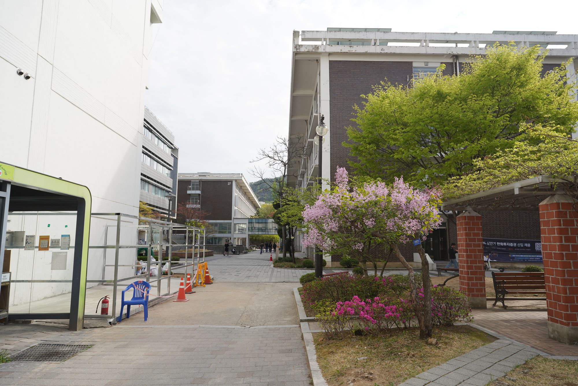 Seoul National University (23)