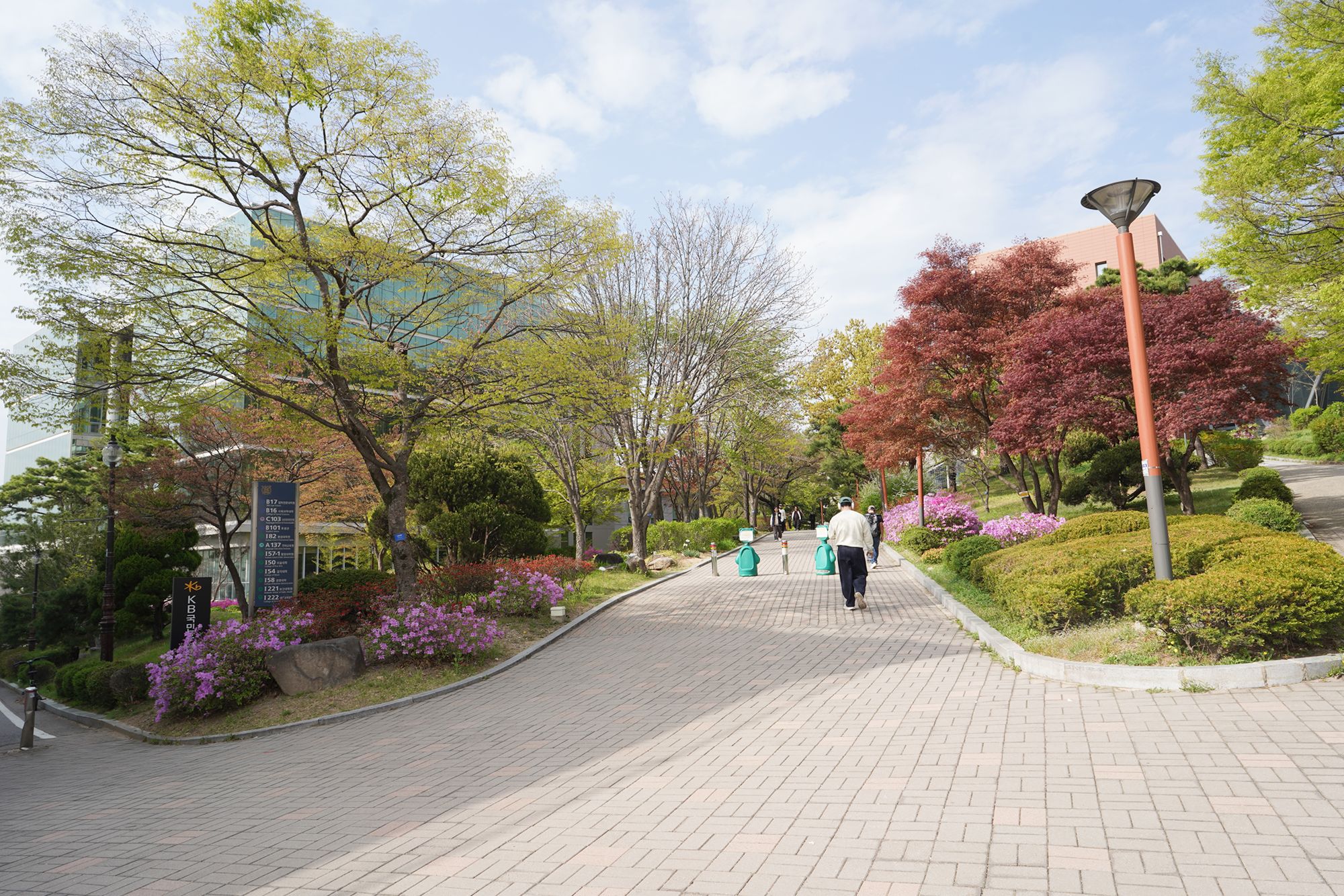 Seoul National University (31)