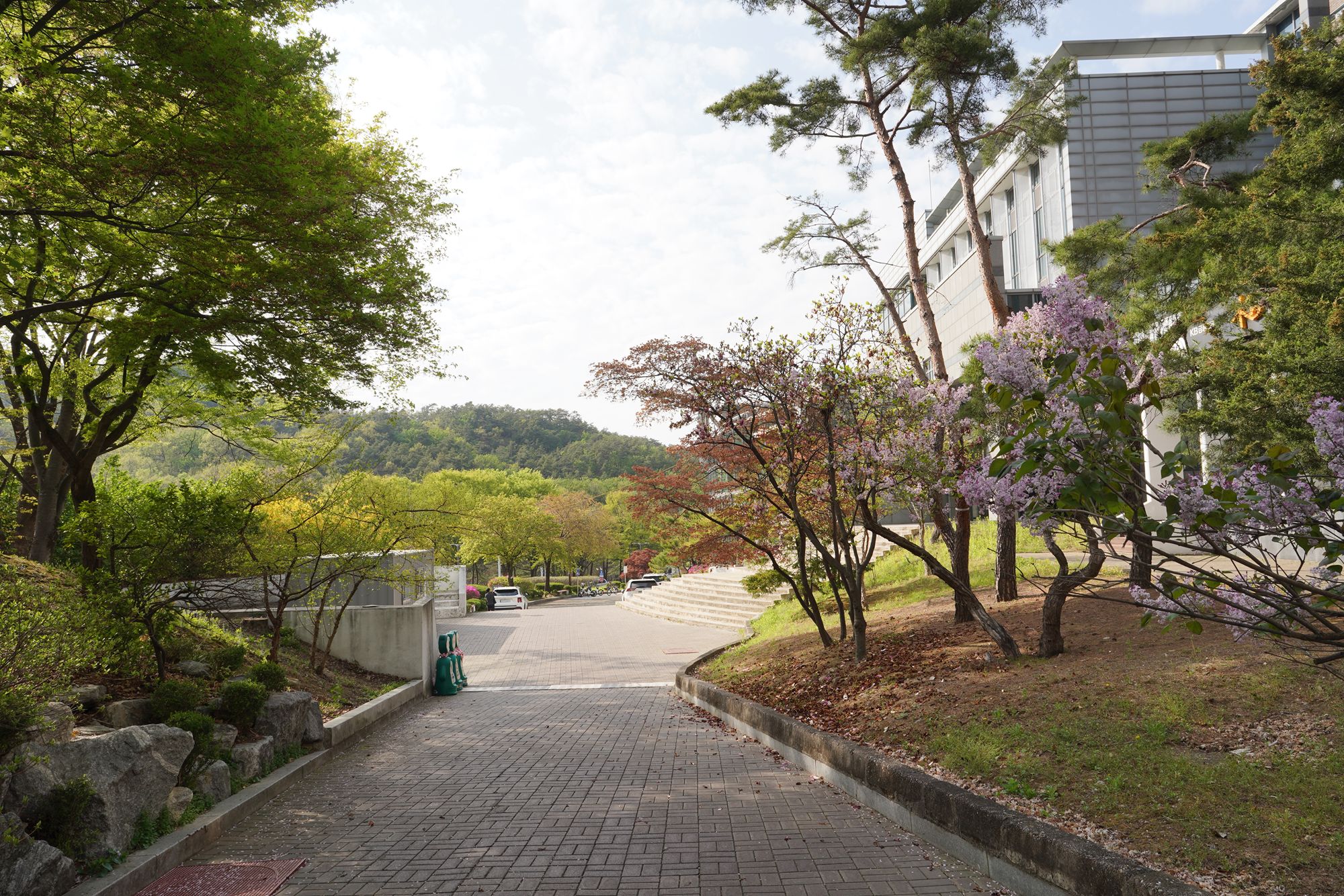 Seoul National University (40)