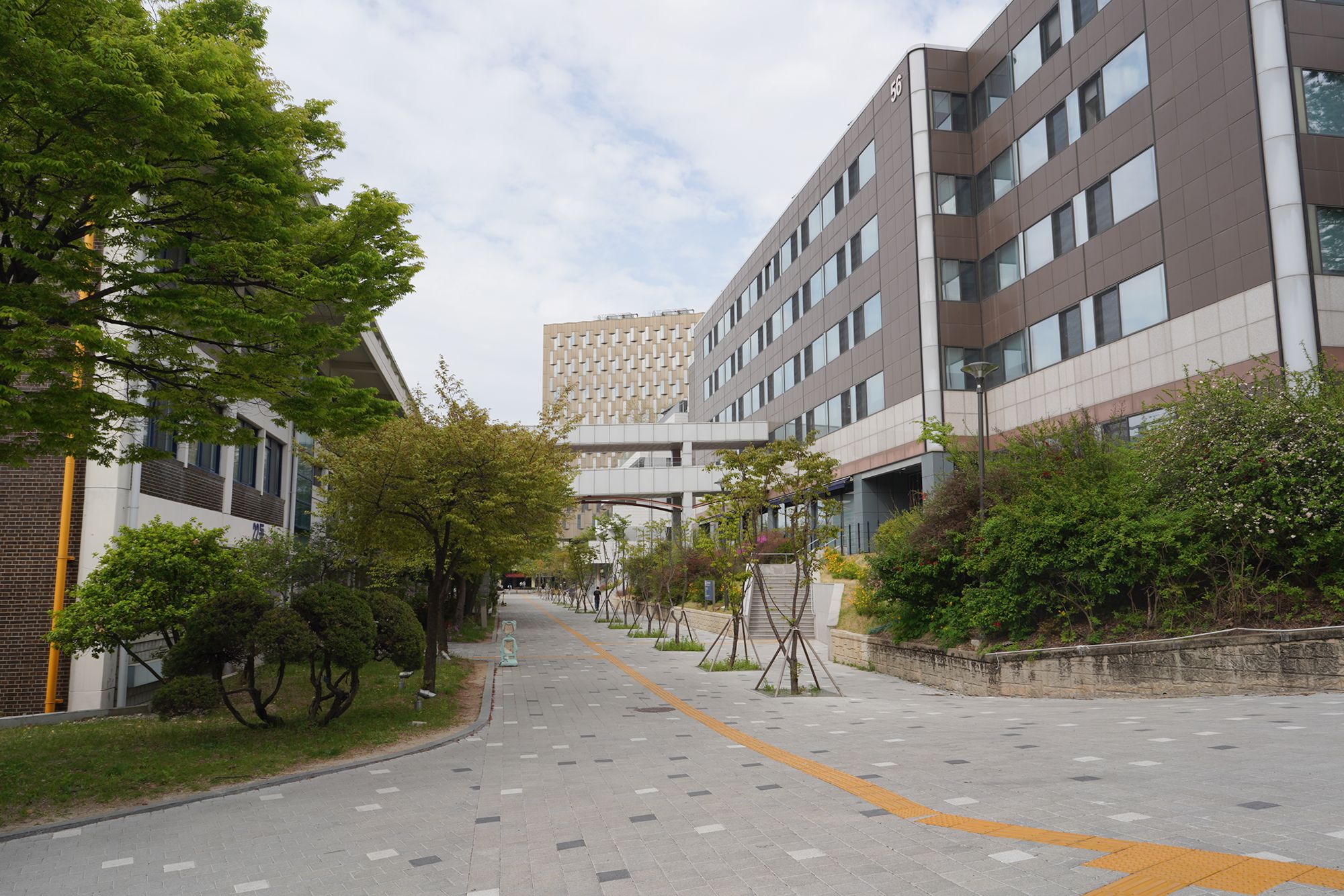 Seoul National University (5)