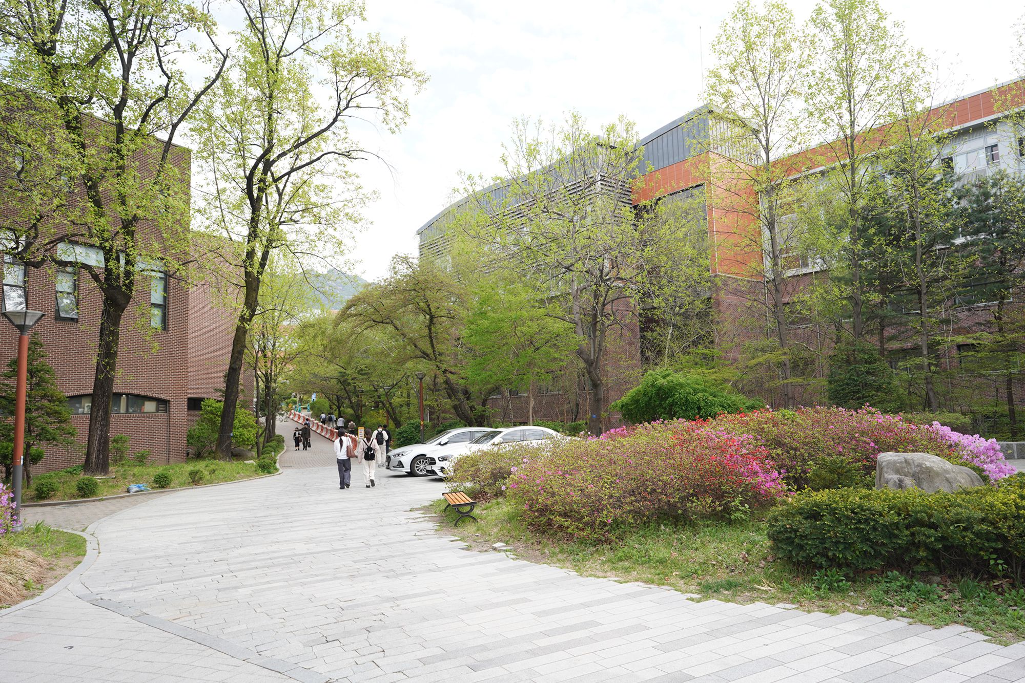 Seoul National University (54)