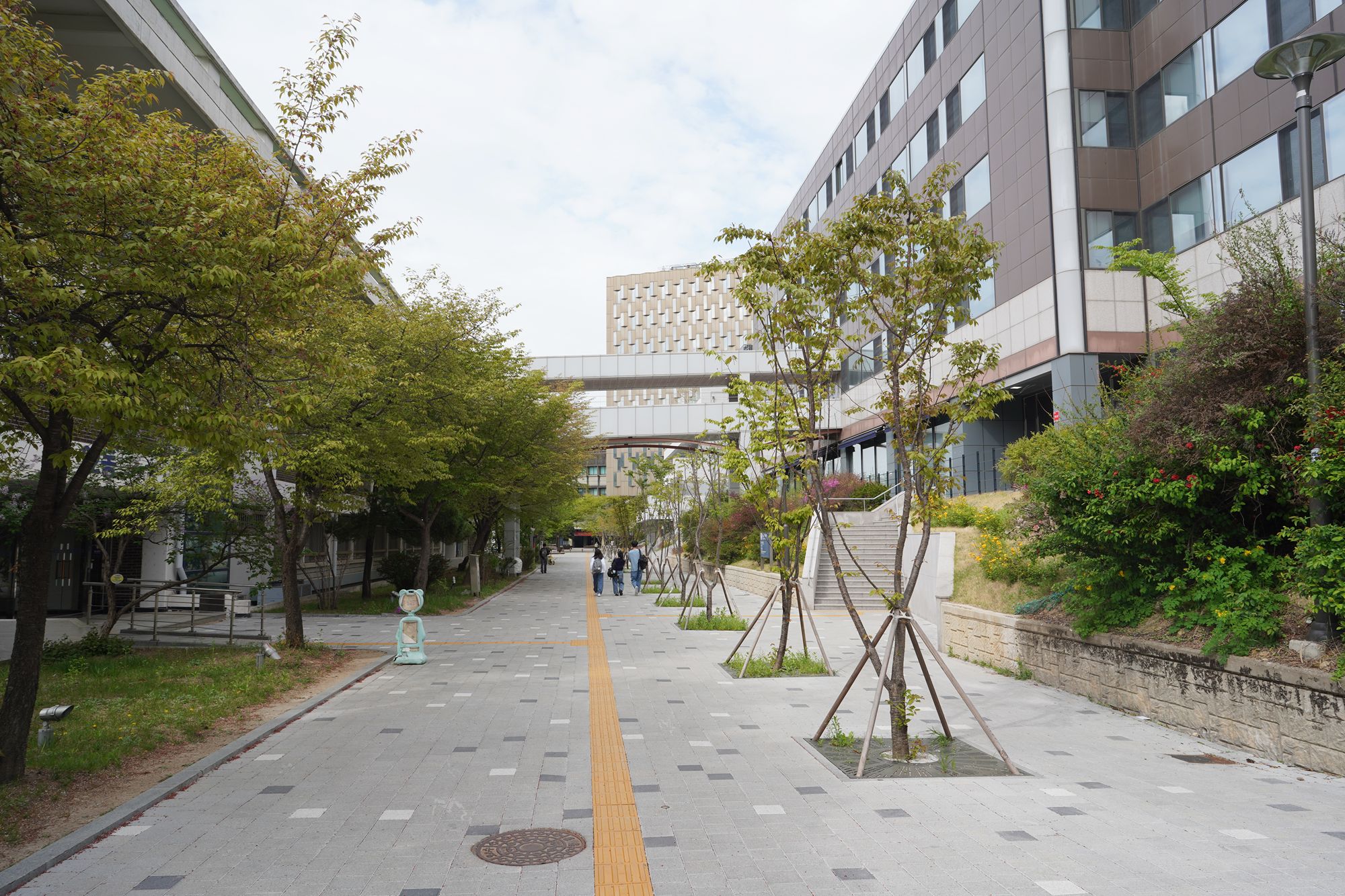 Seoul National University (6)