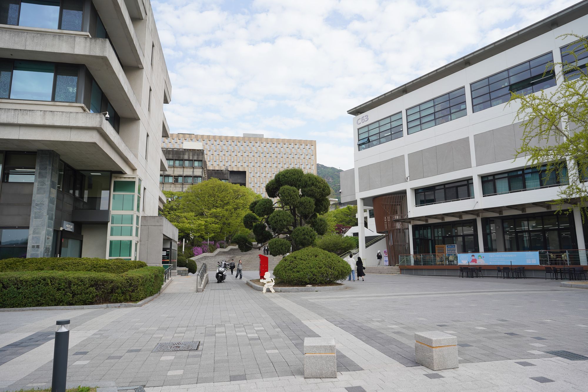 Seoul National University (60)