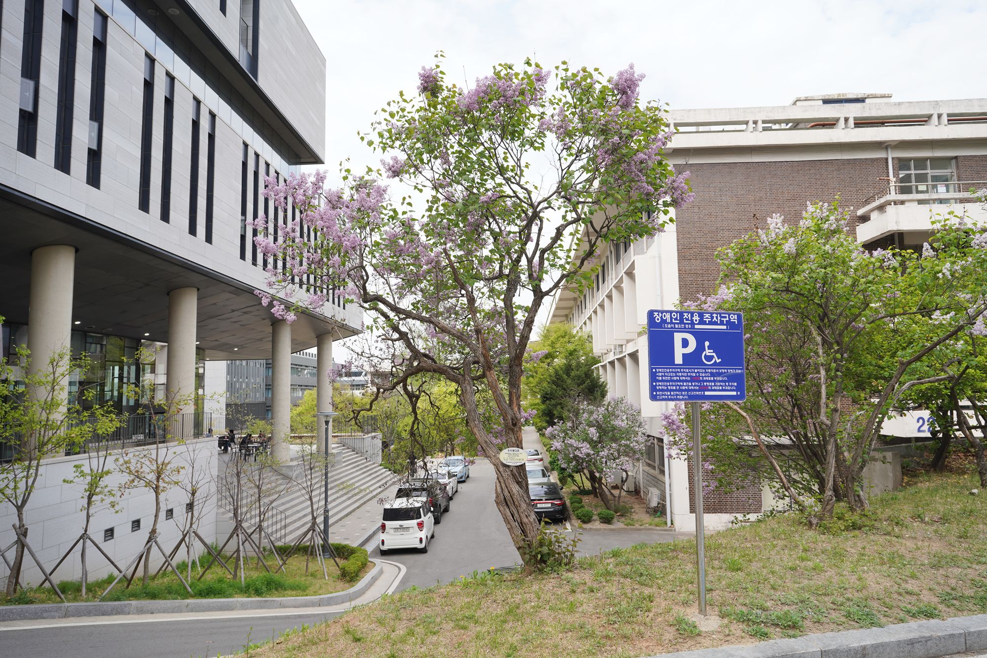 Seoul National University (8)