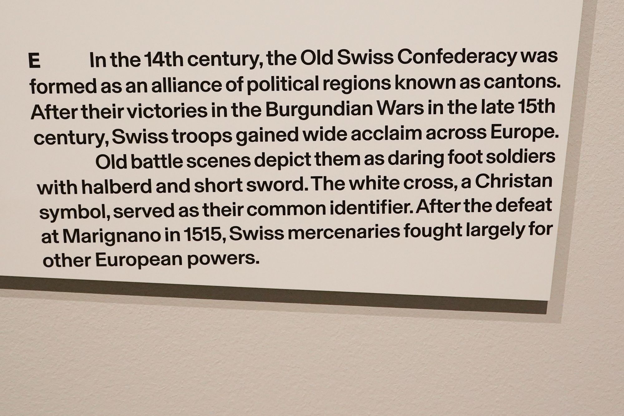 Swiss National Museum (102)