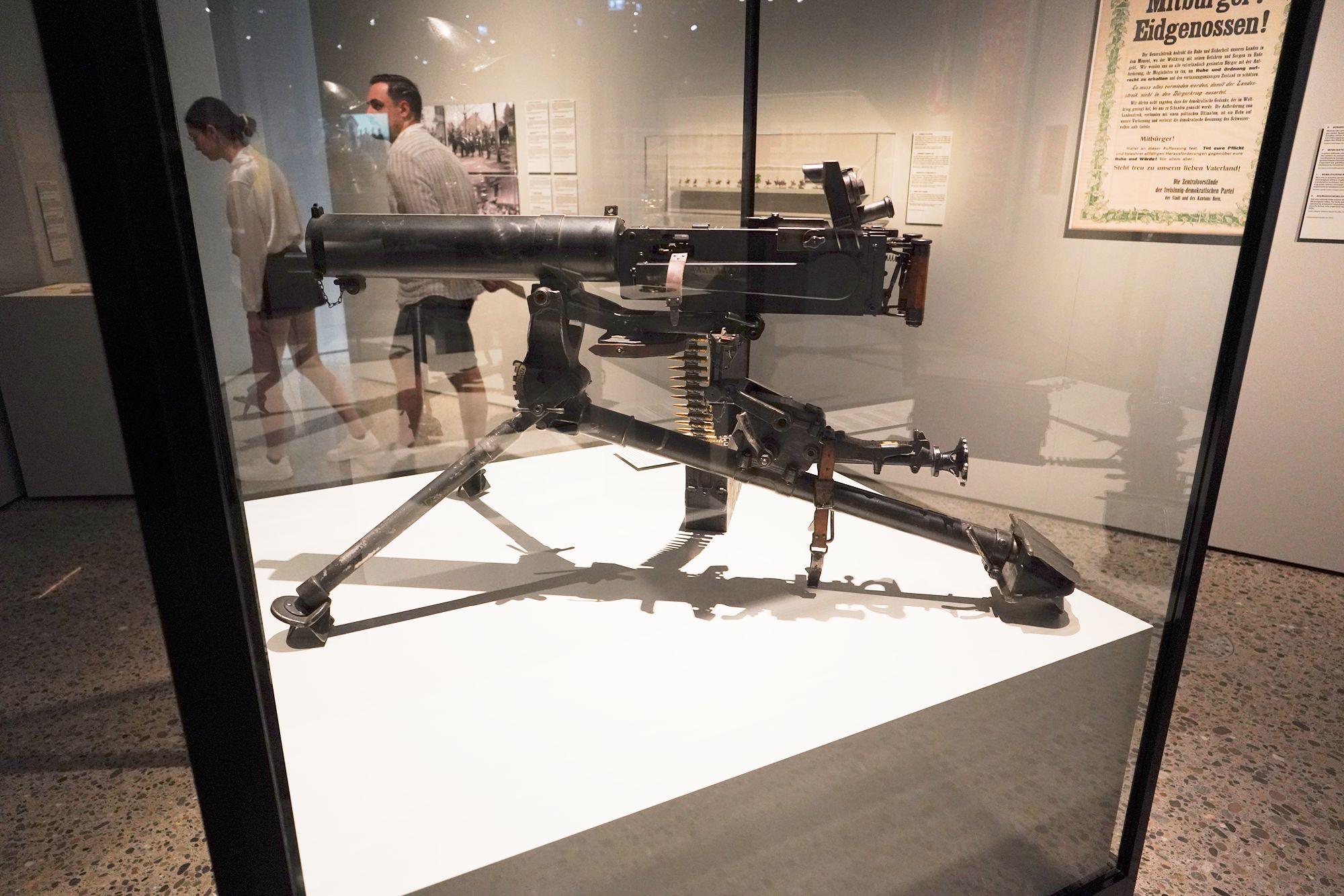 Swiss National Museum (119)