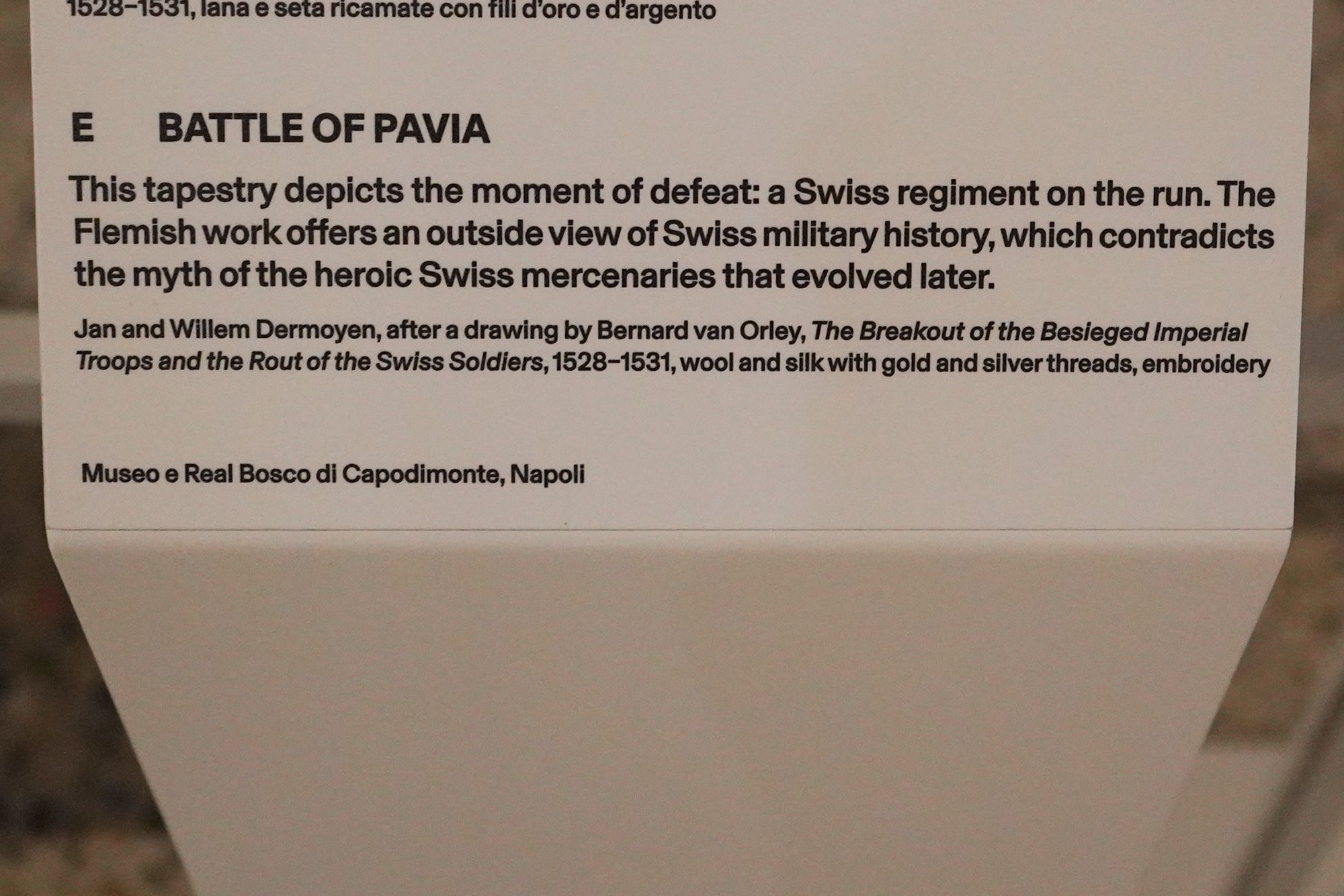 Swiss National Museum (98)