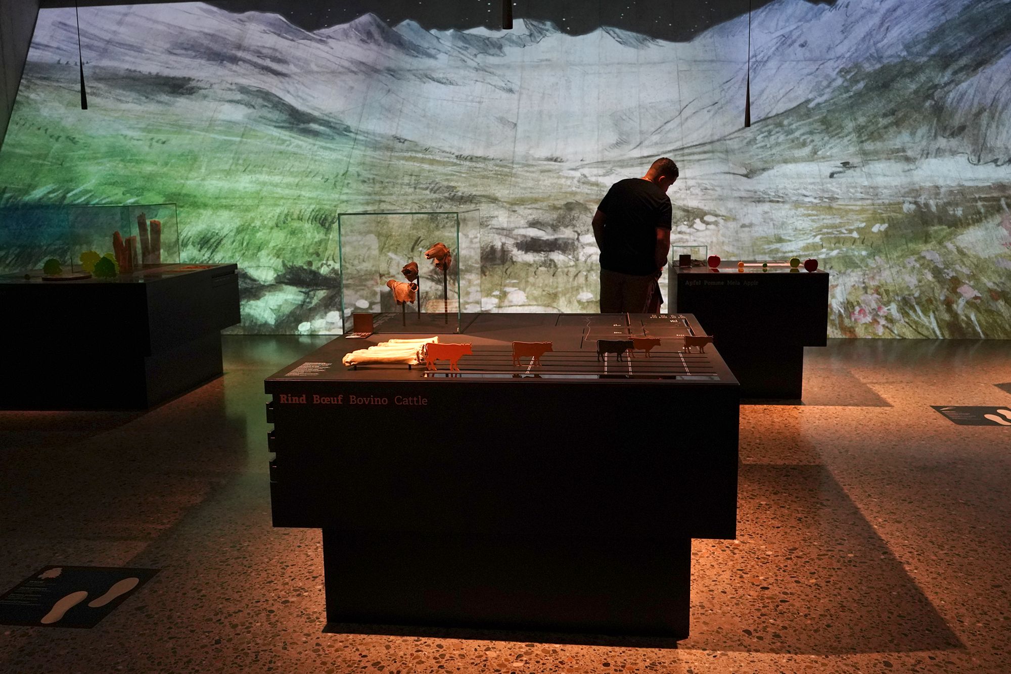 Swiss National Museum – History (17)