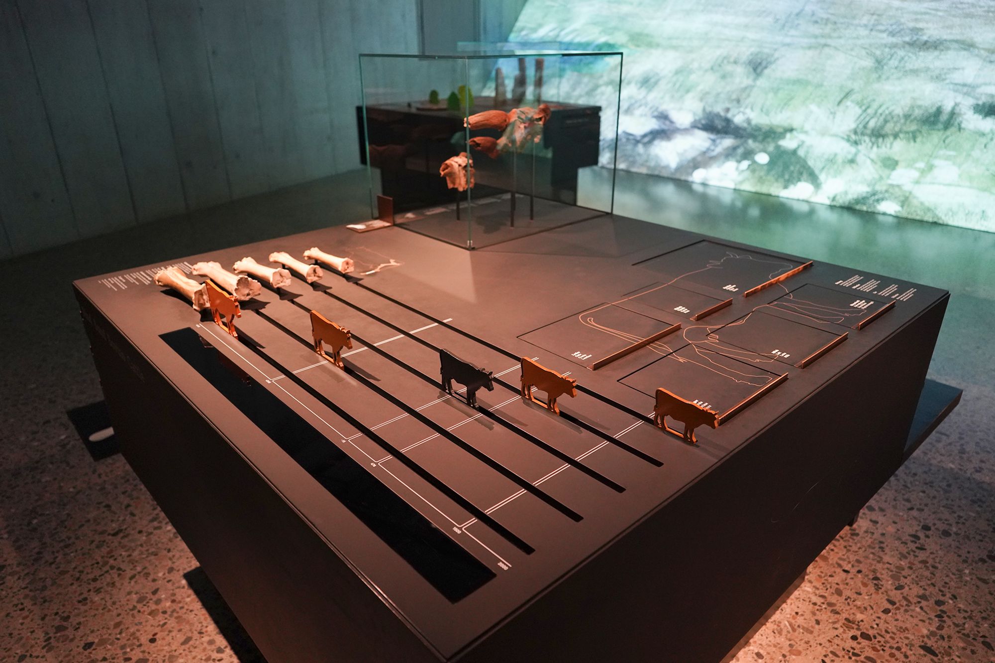 Swiss National Museum – History (19)