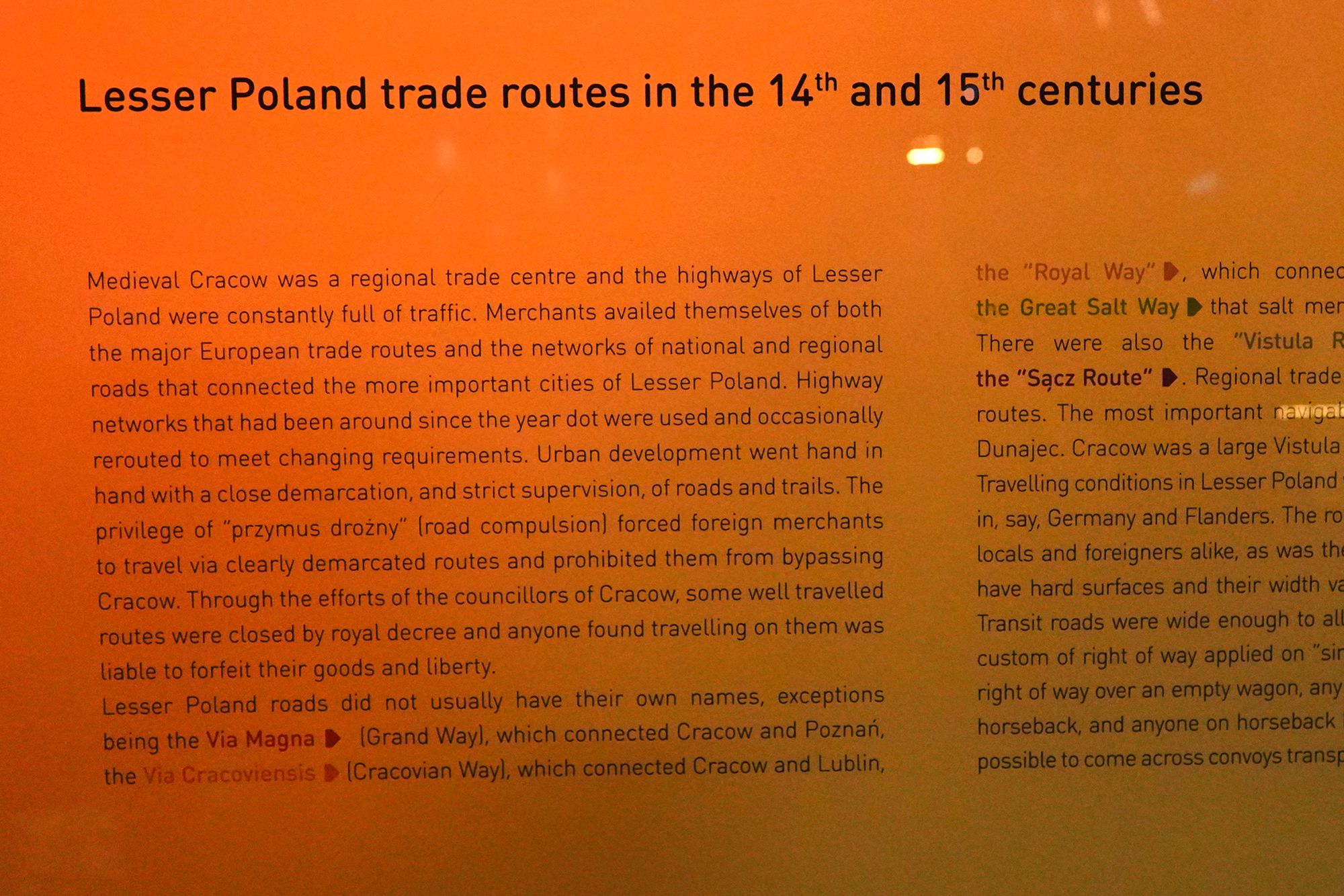 Underground Museum (17)