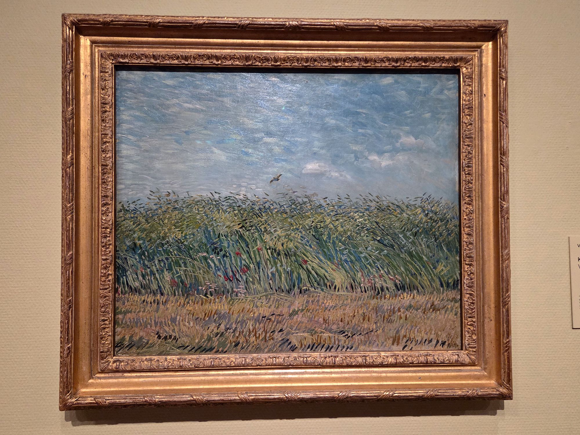 Van Gogh Museum I (117)