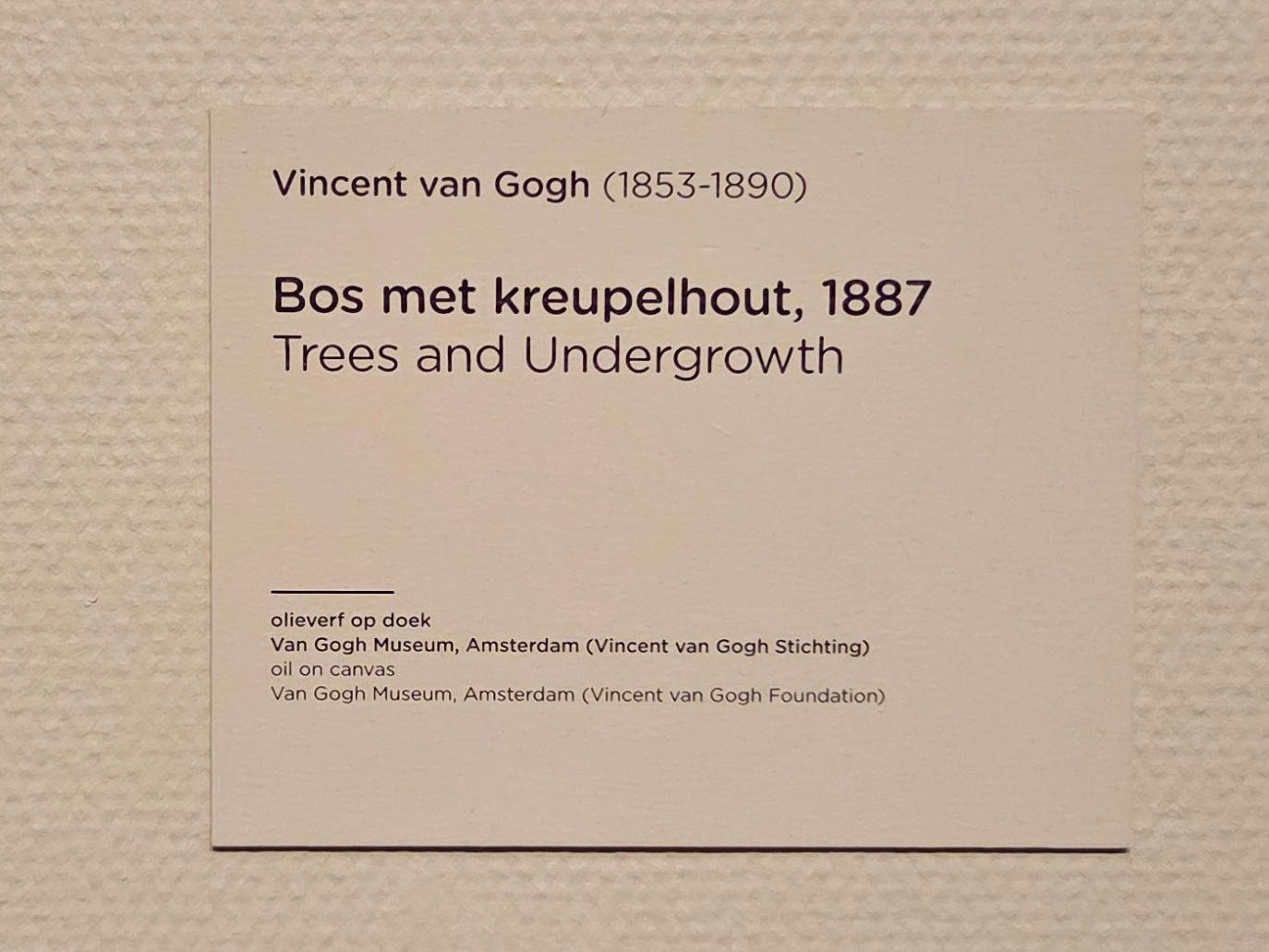 Van Gogh Museum I (125)