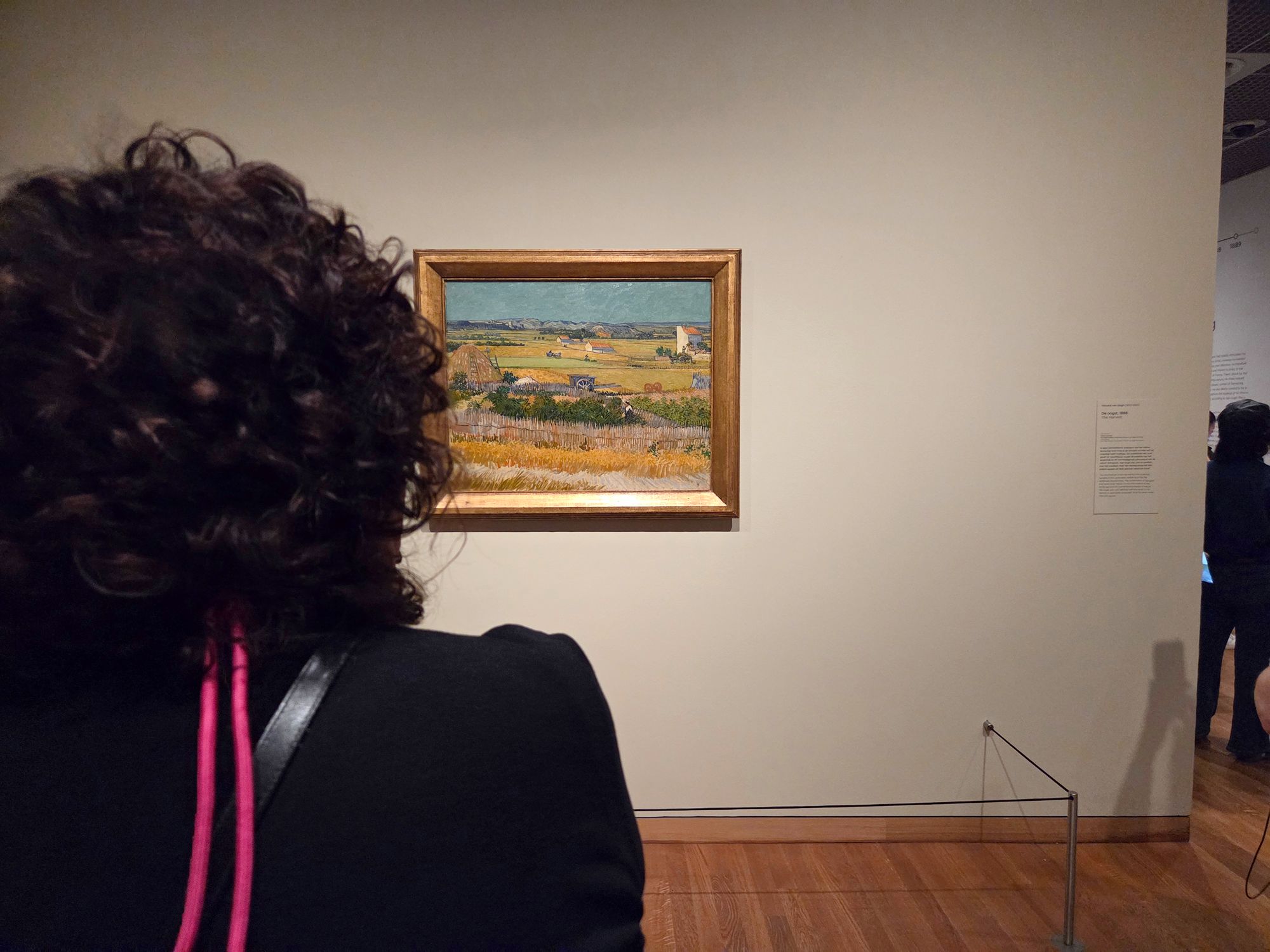 Van Gogh Museum I (171)