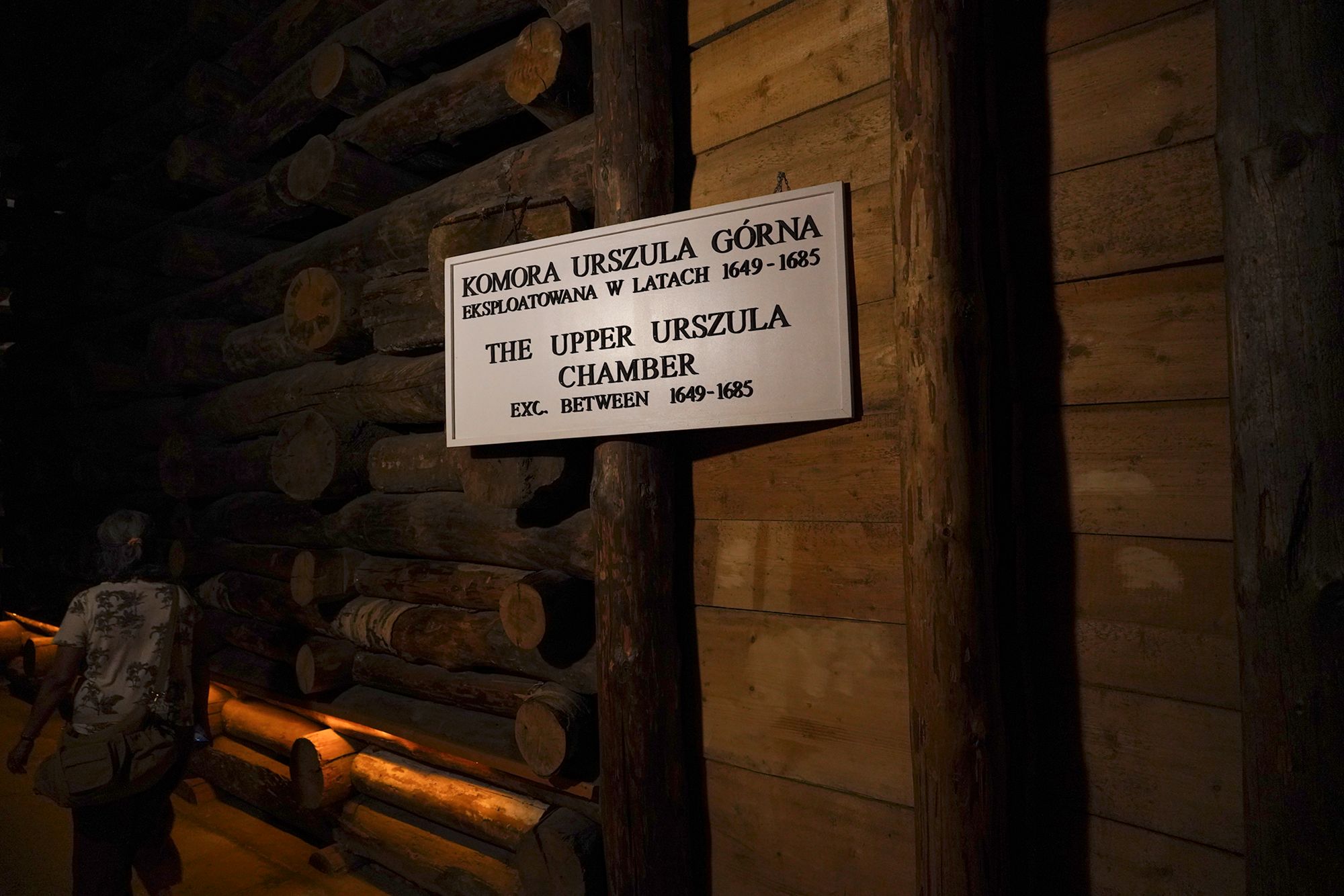 Wieliczka Salt Mine (8) Wieliczka Salt Mine (8)