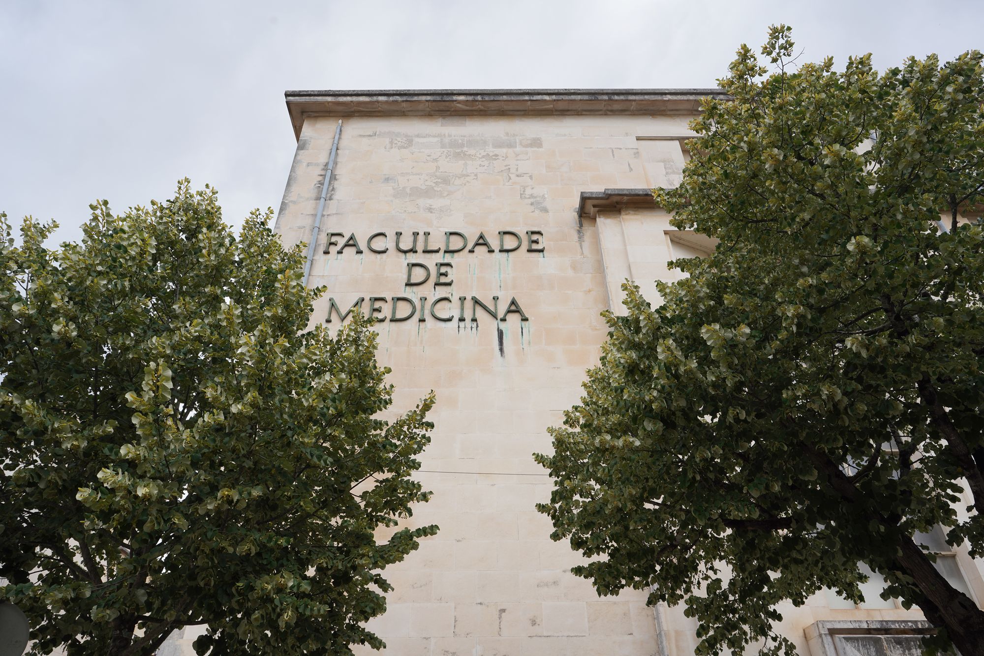 Coimbra Walk I (2)